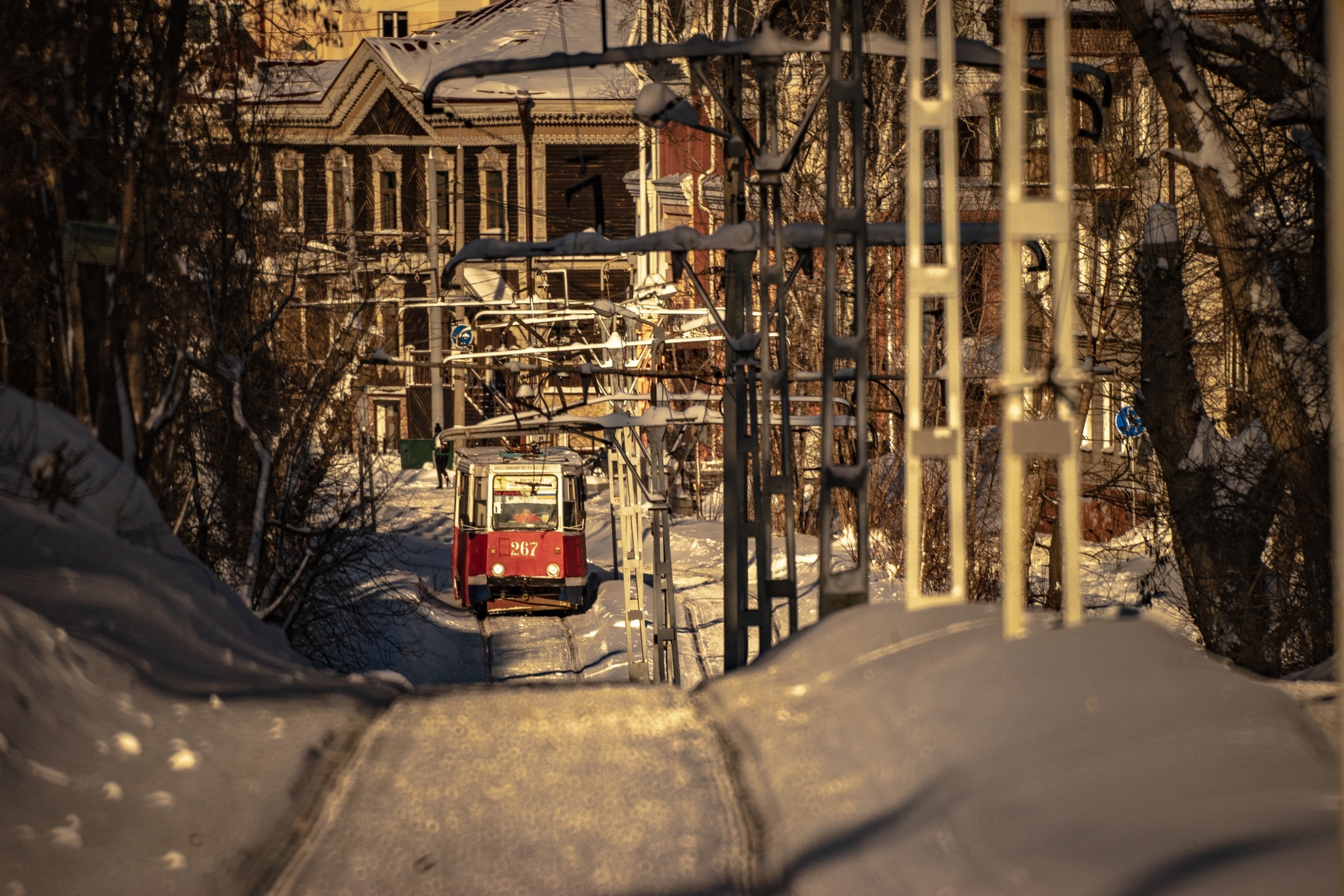 Very long-focus photos - My, The photo, Lens, Soviet optics, Groove, Tram, Dog, cat, Longpost, Tomsk