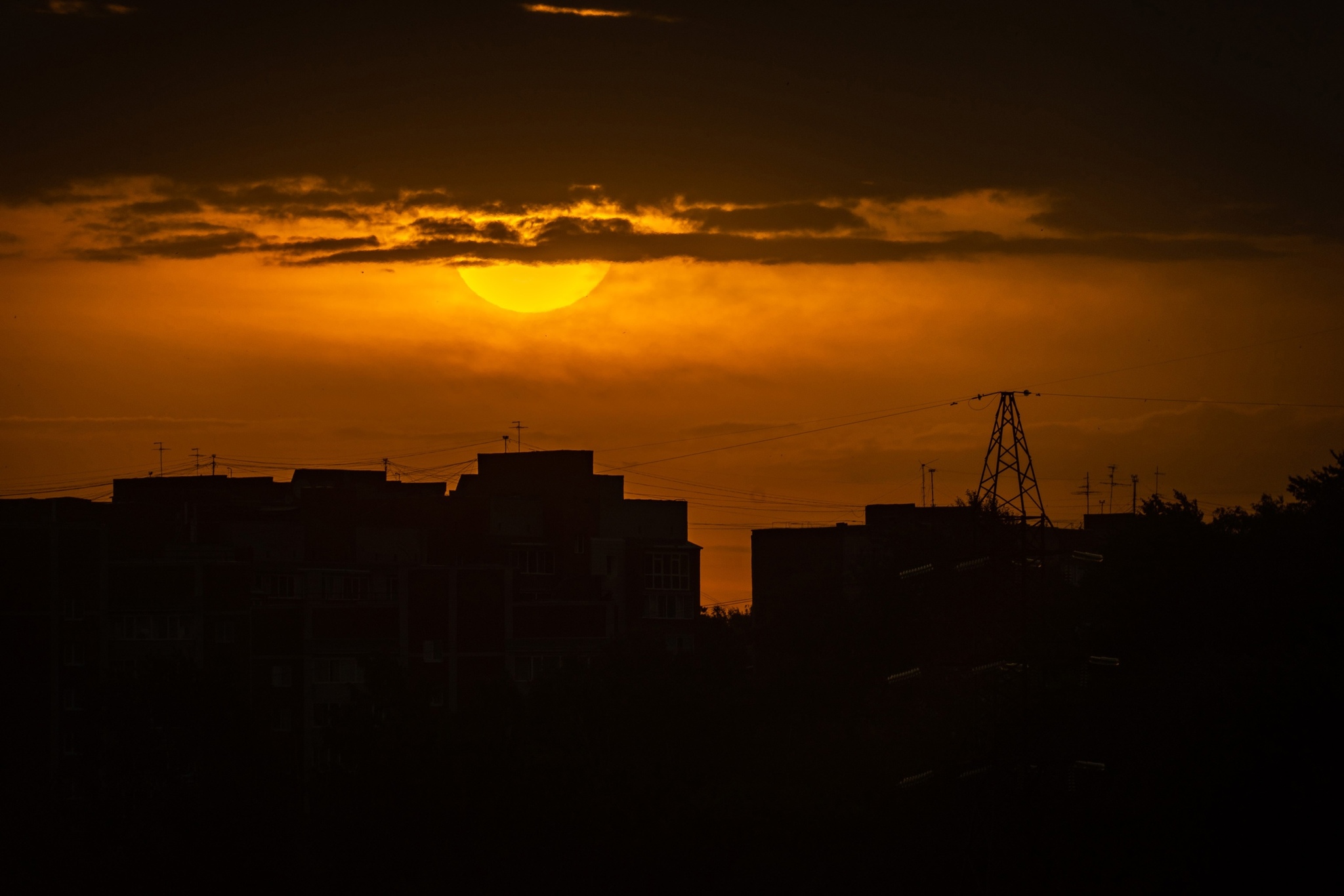 Very long-focus photos - My, The photo, Lens, Soviet optics, Groove, Tram, Dog, cat, Longpost, Tomsk