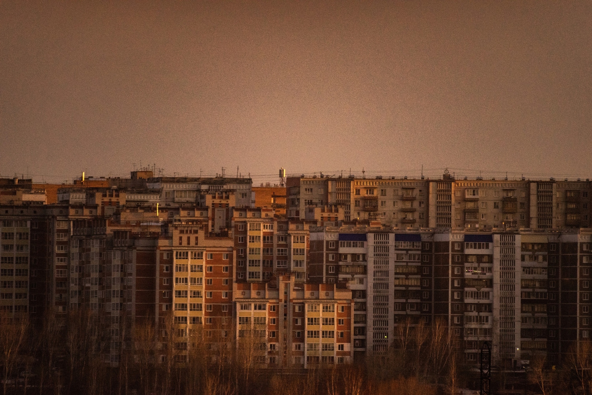 Very long-focus photos - My, The photo, Lens, Soviet optics, Groove, Tram, Dog, cat, Longpost, Tomsk