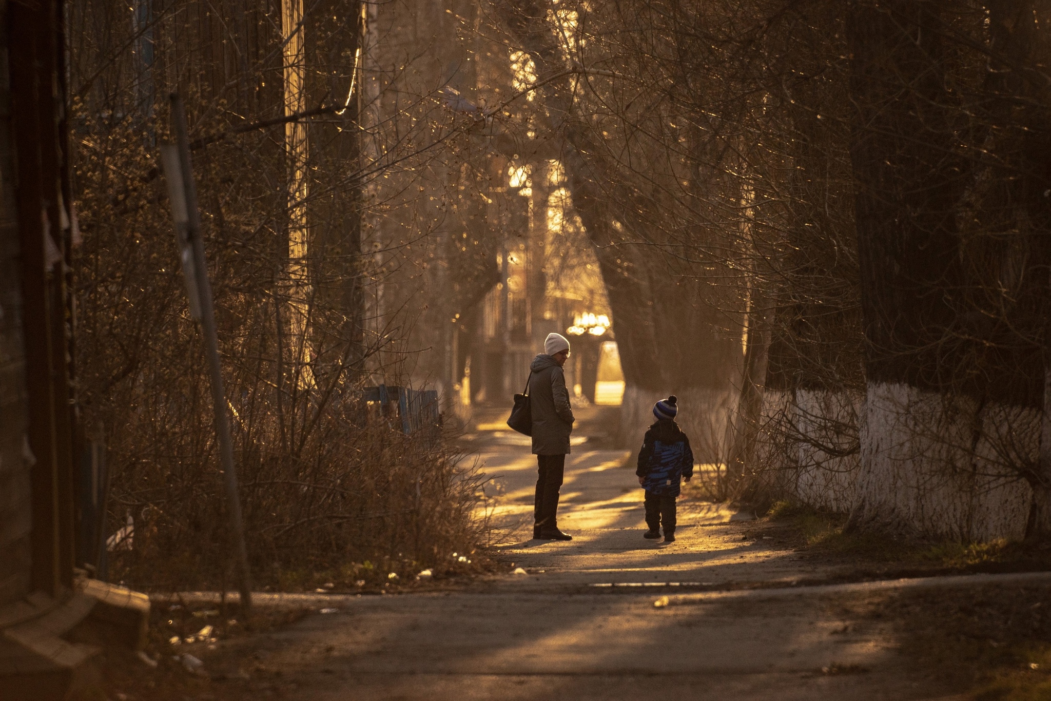 Very long-focus photos - My, The photo, Lens, Soviet optics, Groove, Tram, Dog, cat, Longpost, Tomsk