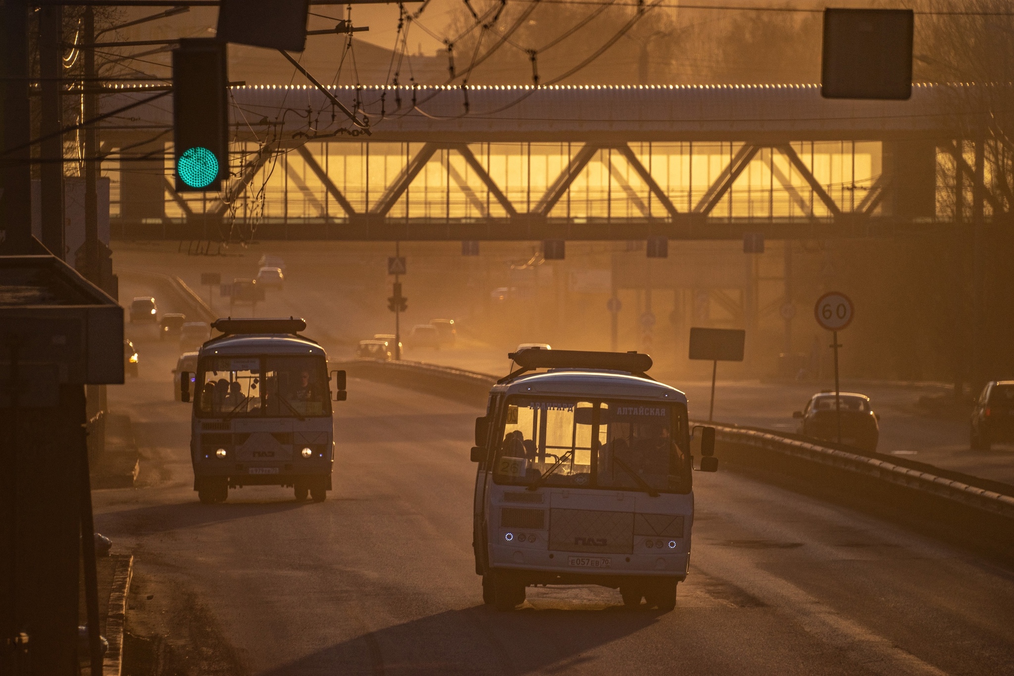 Very long-focus photos - My, The photo, Lens, Soviet optics, Groove, Tram, Dog, cat, Longpost, Tomsk