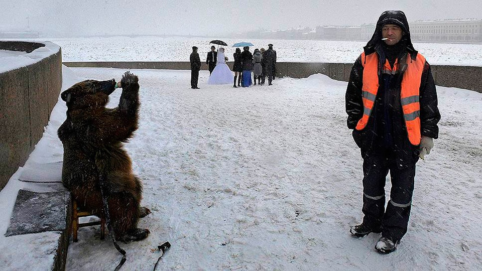 Stop a moment - The photo, Art, Longpost, Photographer, Accidental renaissance