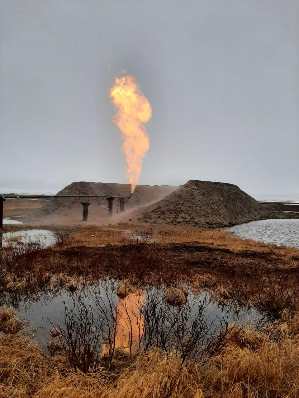 Somewhere in Yamal... - My, Yamal, Fire, Tundra, Torch, Longpost