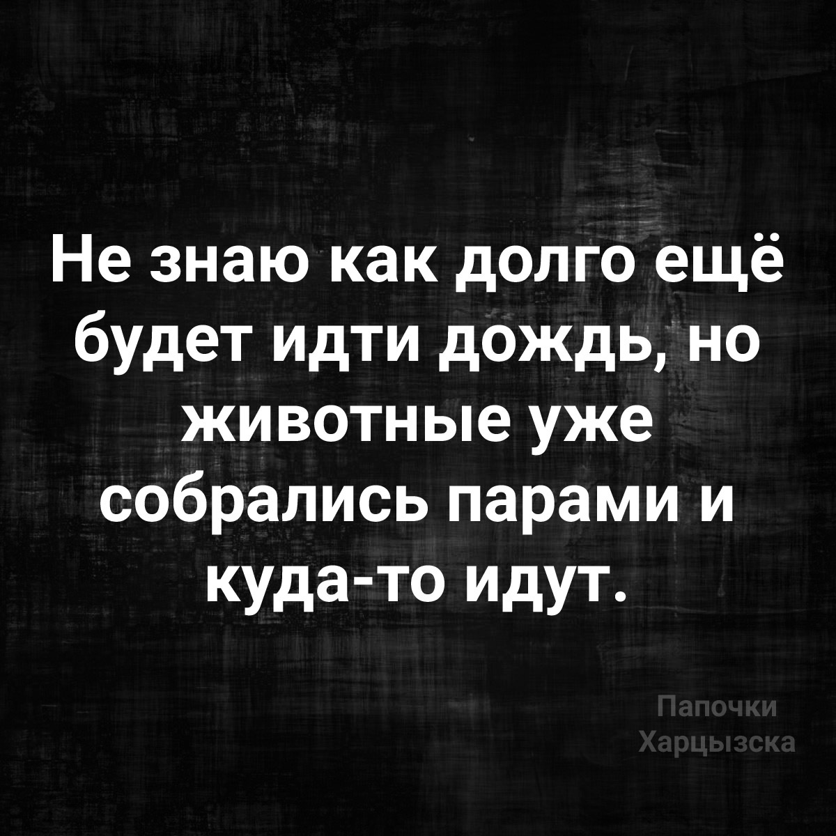 О погоде - Погода, Дождь, Животные, Юмор, Картинка с текстом, Ной, Ноев ковчег