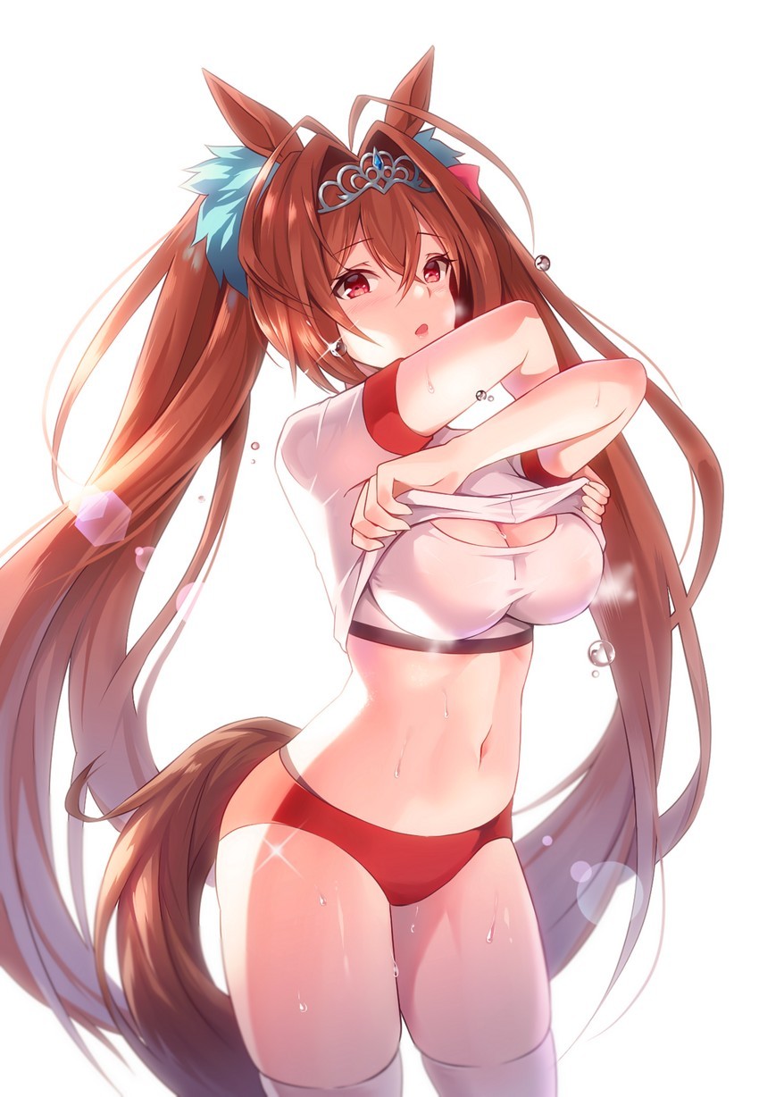 Anime Art - NSFW, Аниме, Anime Art, Umamusume, Daiwa Scarlet, Animal Ears, Uma Musume Pretty Derby