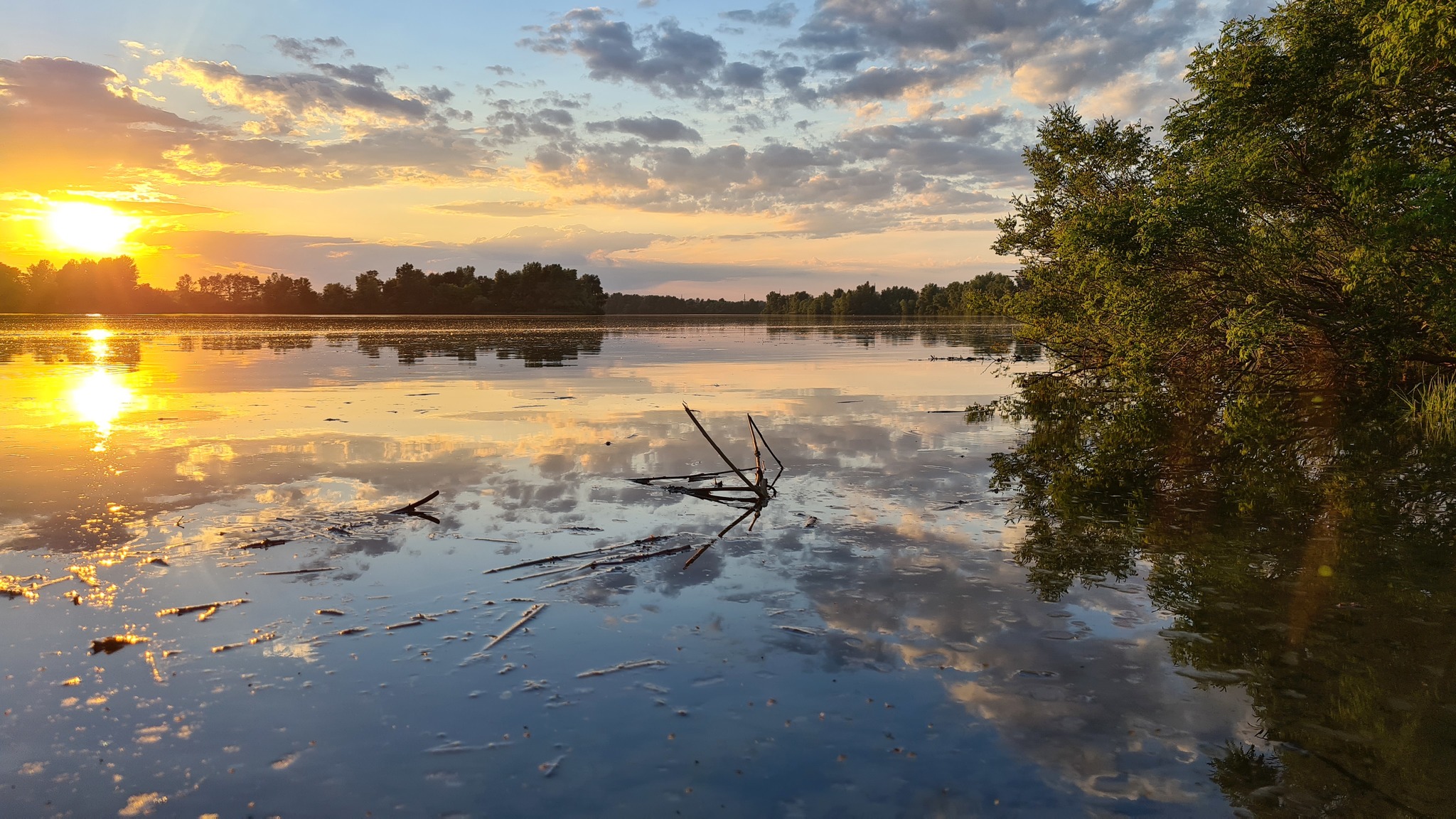 Summer sunset - My, The photo, Nature, Summer, beauty, Sunset