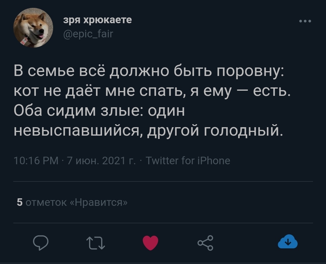 Взаимность - Кот, Twitter, Скриншот