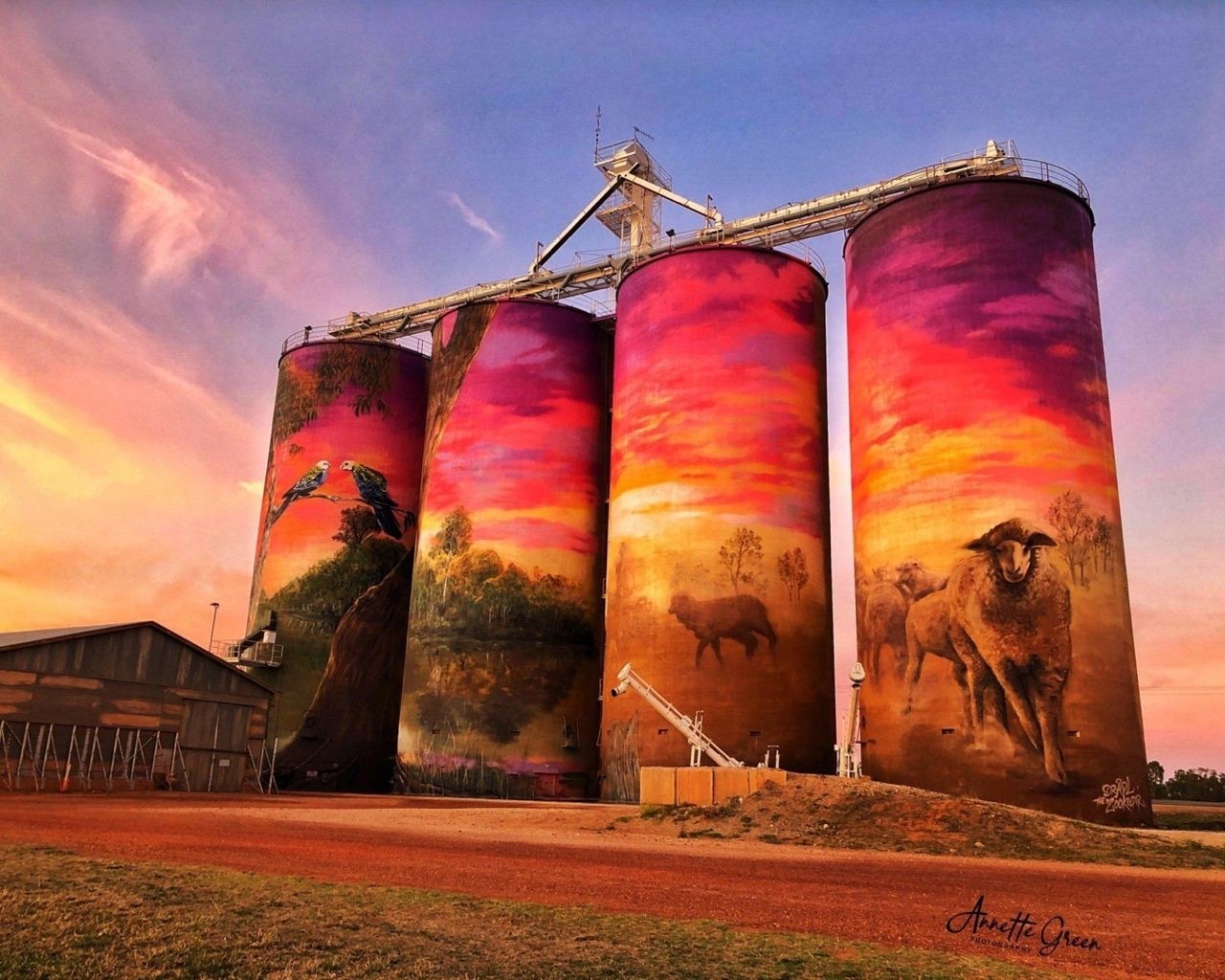 PUBLIC Silo Art - Mural, Silage, Architecture, Australia, Art, The photo, Longpost