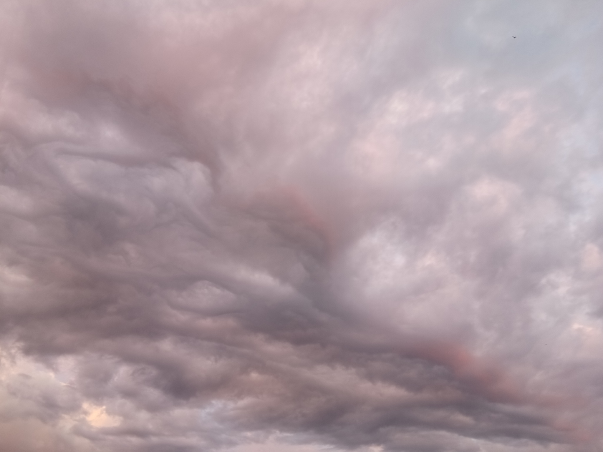 The sky above the gatchina - My, Clouds, Sky, Longpost