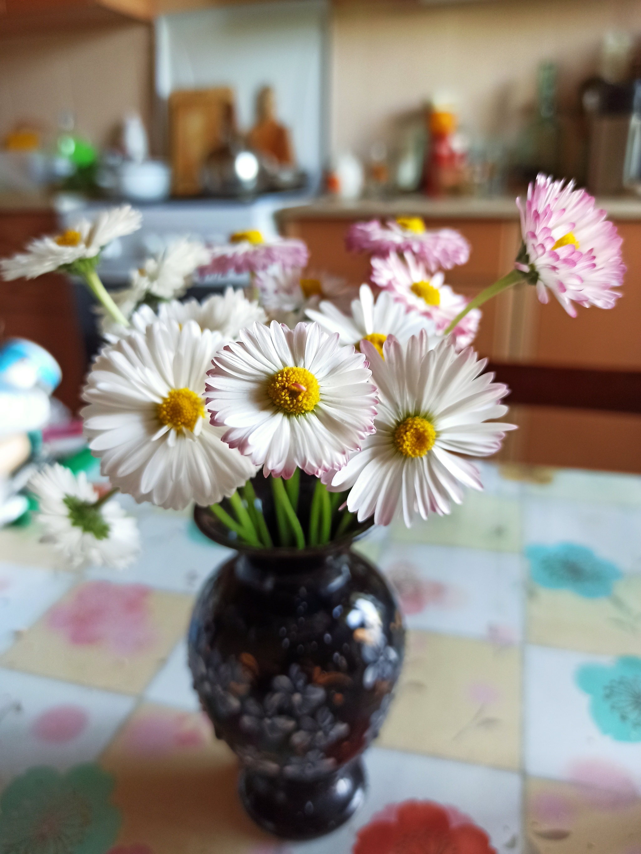 daisies - My, Flowers, Mobile photography