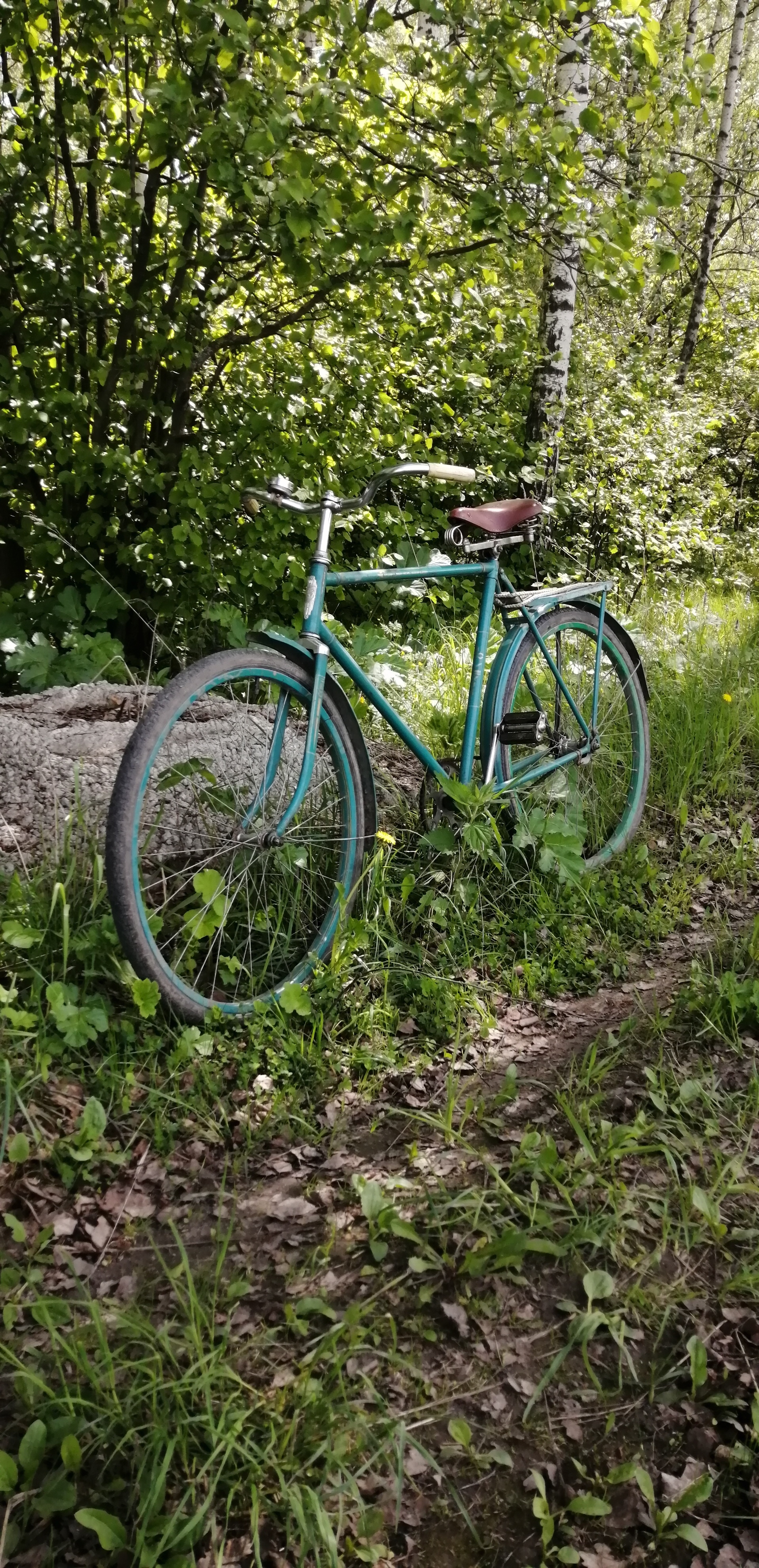 Elegant bicycle ZhVZ Desna Dorozhnaya from my collection, in near perfect condition. - Longpost, Cycling, Retro, A bike, My