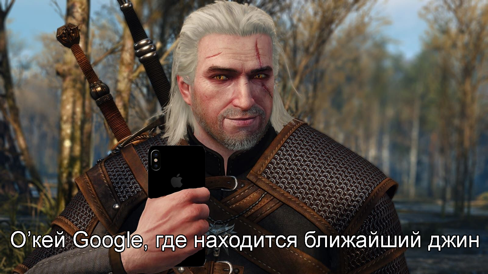 The witcher series, the reasons why they do not like him - My, Witcher, Netflix, The Witcher series, Elves, Krasnolyudy, Geralt of Rivia, Memes, Longpost