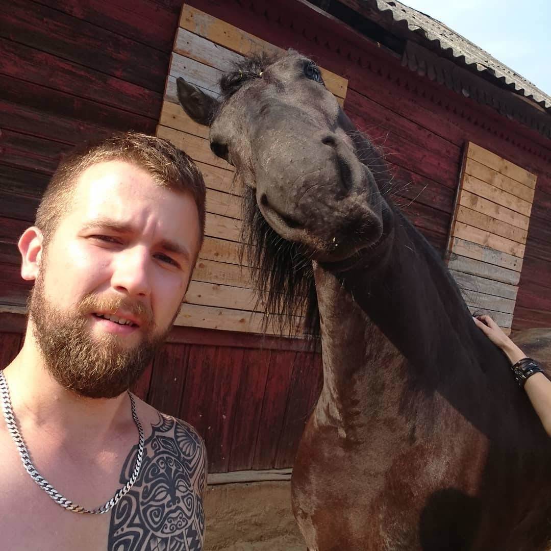 Are you filming me?! - My, Horses, Curiosity, Animals, The photo, Selfie