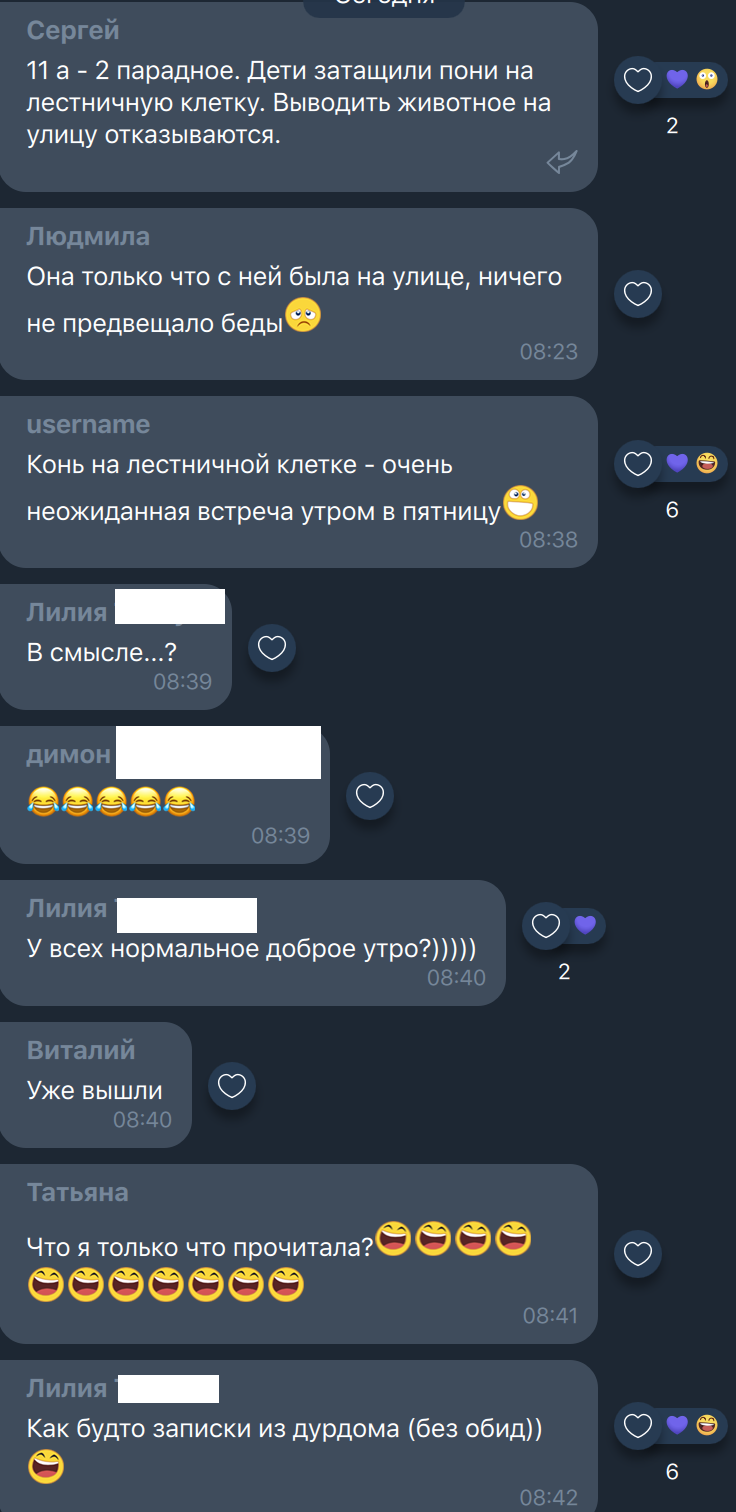 А как началось ваше утро? - Моё, Соседи, Viber, Переписка, Пони, Юмор, Чат, Длиннопост, Скриншот