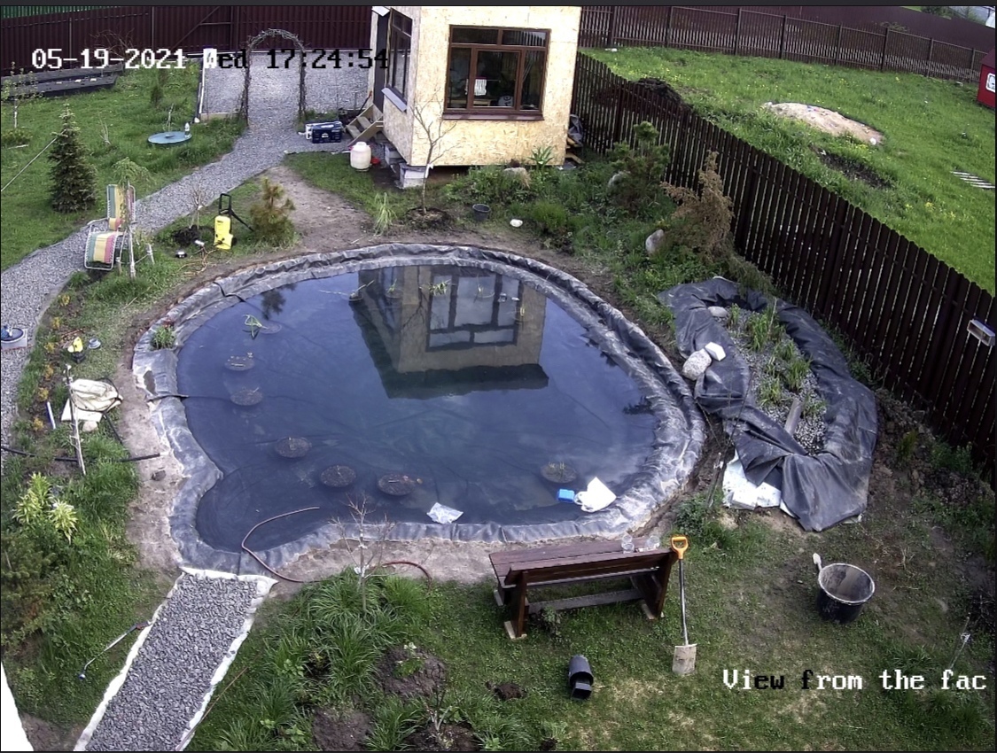 How we created a small dream pond (part 2 - fiasco) - My, Pond, A fish, Dacha, Plants, Video, Longpost