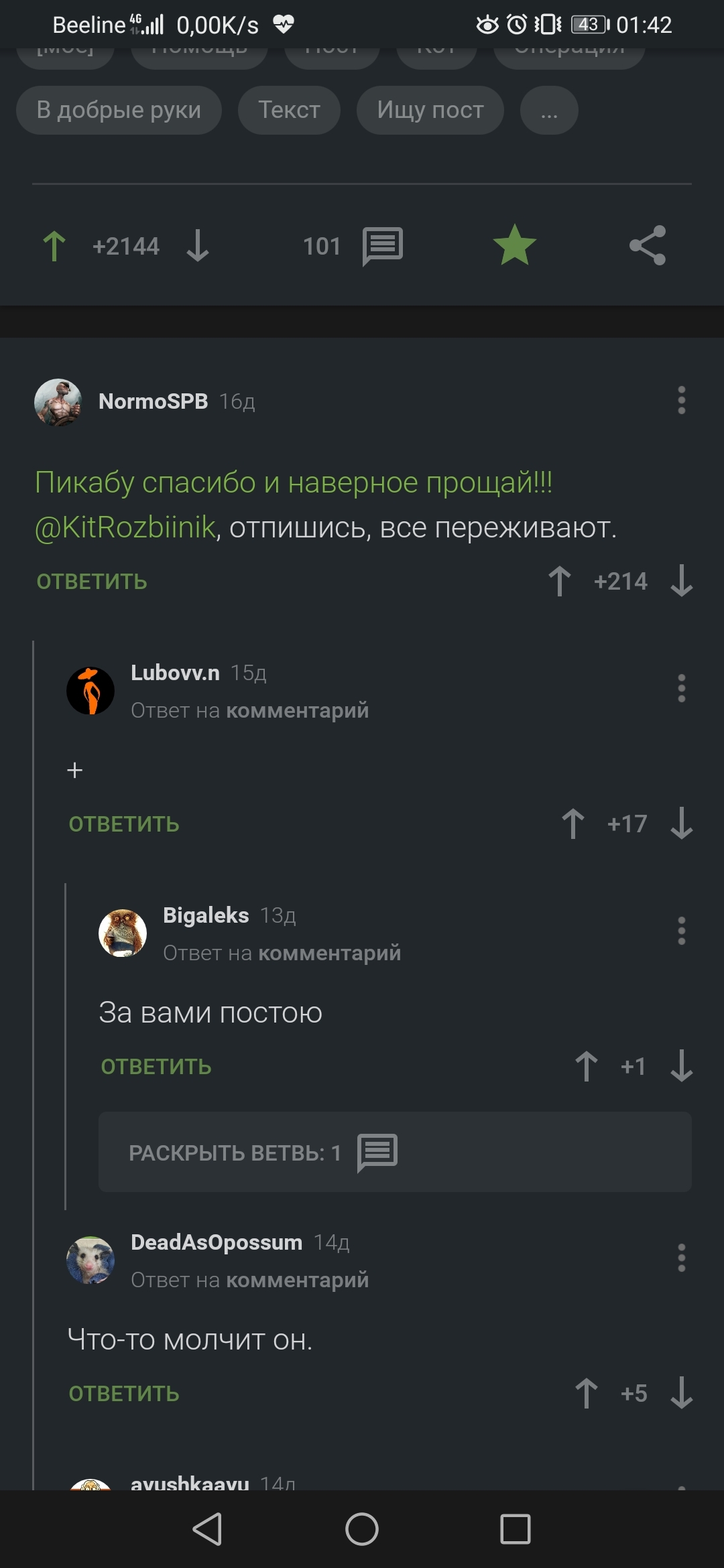 Друзья, ищем @KitRozbiinik. Беларусь, это к вам - Пропал человек, Ожидание, Болезнь, Выздоровление, Без рейтинга, Потеряшка, Пикабушники, Длиннопост, Республика Беларусь, , Комментарии на Пикабу, Скриншот