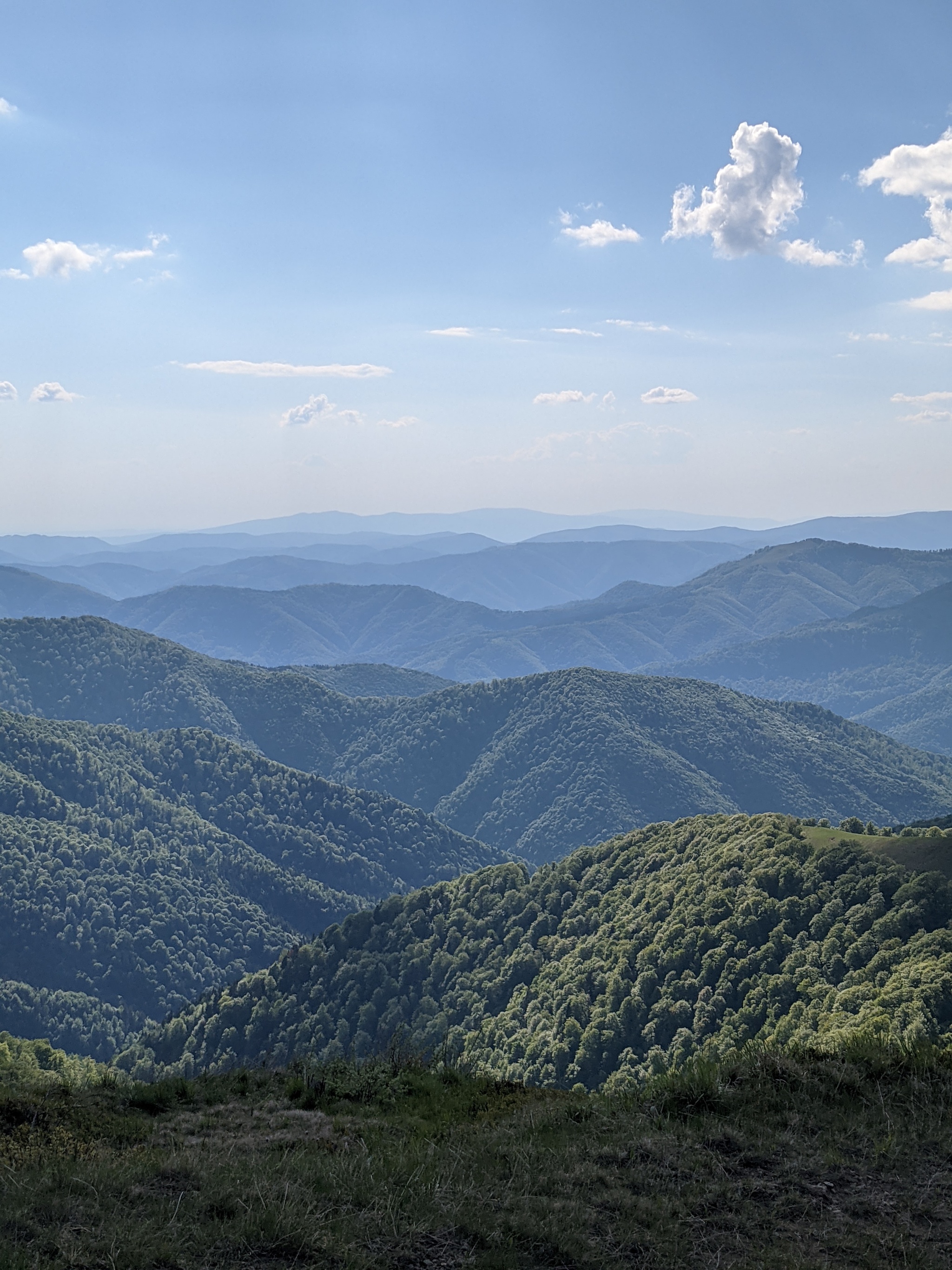 Kolochava, Transcarpathian region, hike 2021 - My, The mountains, Carpathians, Hike, Longpost, The photo