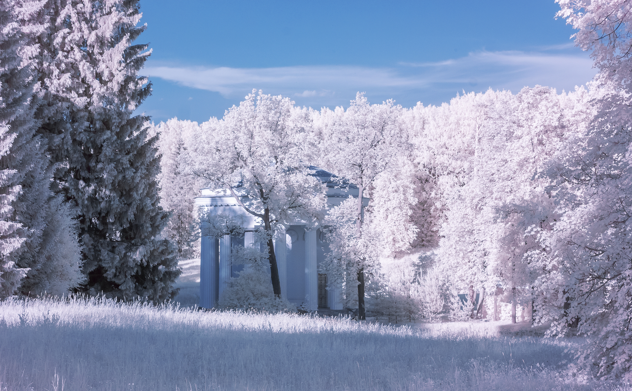 About infrared photography (IR) - personal experience - My, The photo, Infrared shooting, Experiment, Informative, Longpost