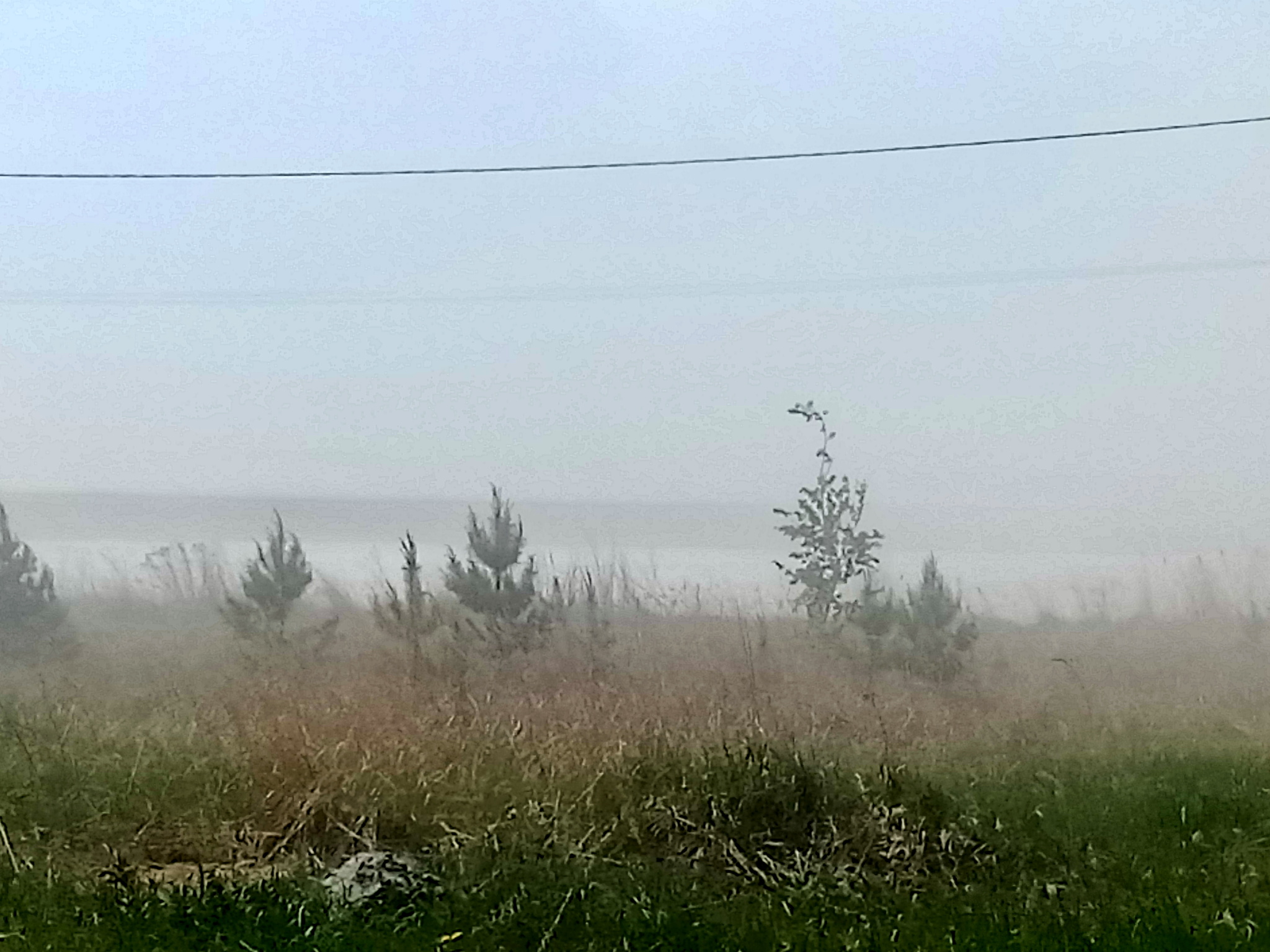 Tornado near Tyumen - My, Vortex, Field, Atmospheric phenomenon, Video, Longpost