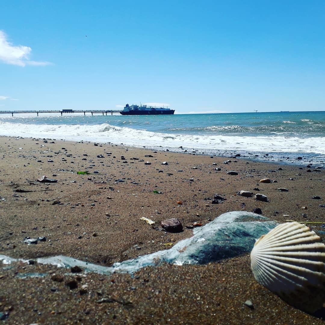 On the sea - My, Sea, Sakhalin, Beach, Nature, The photo