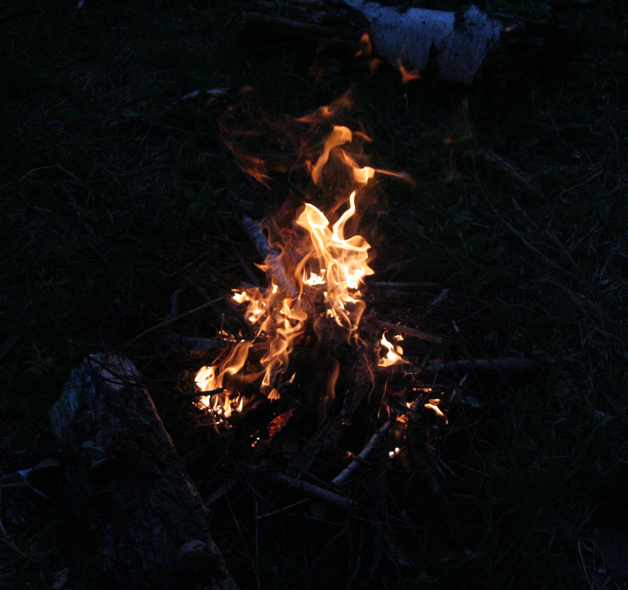 Bonfire - My, Forest, Bonfire, Picture with text