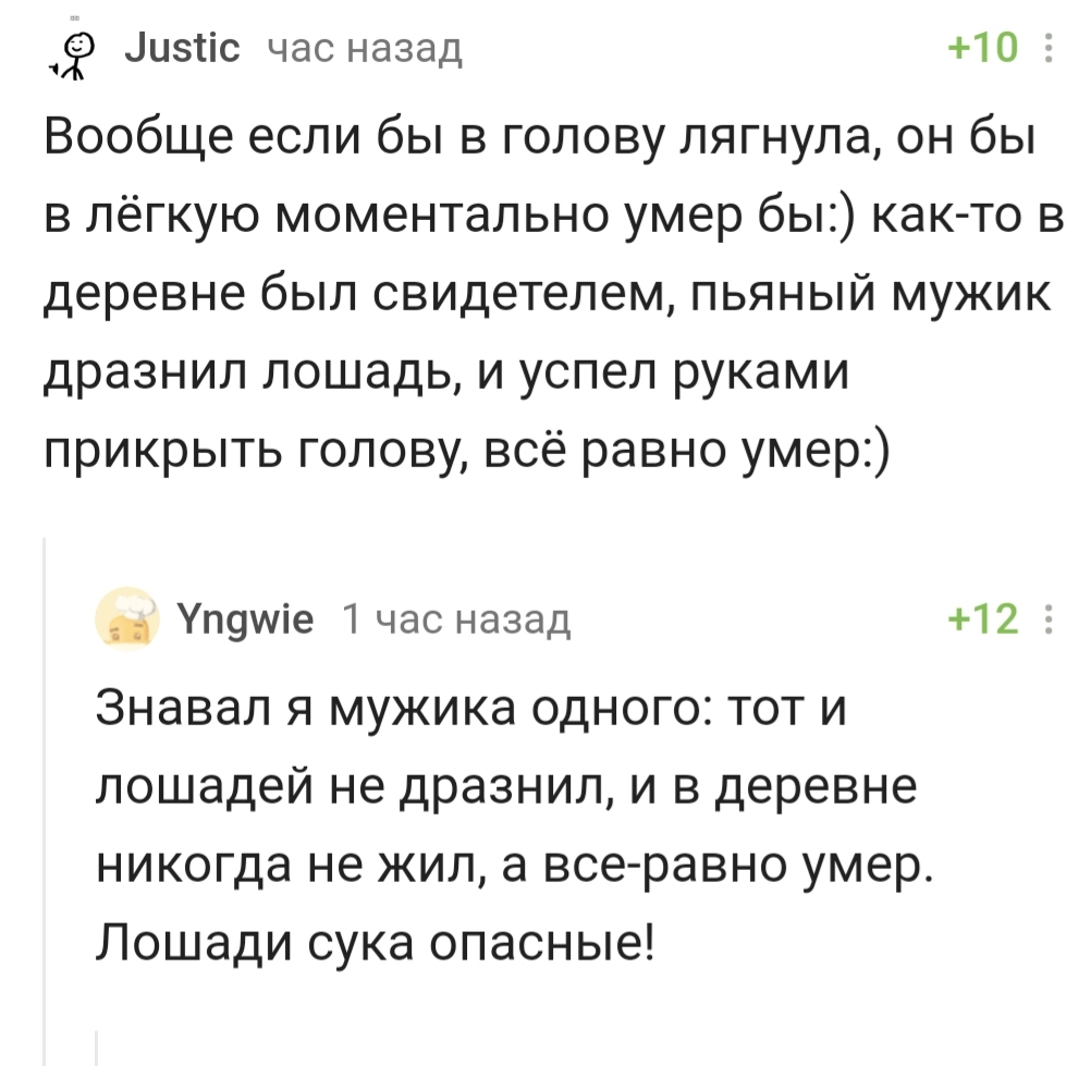 Skateboarder and horse - Saint Petersburg, Horses, Comments on Peekaboo, Screenshot, Comments