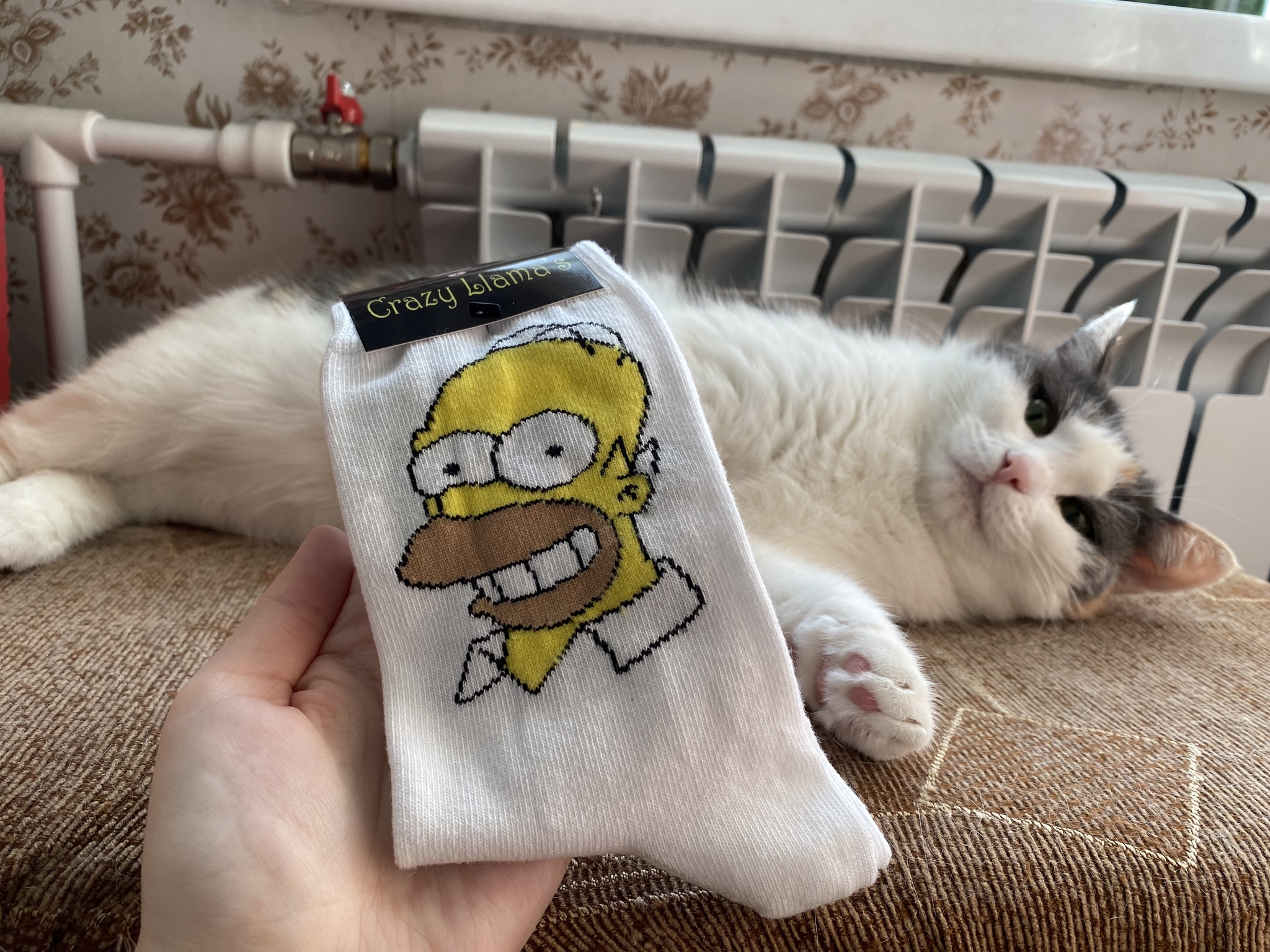 The long-awaited Fan Exchange 2021. Mulino-Dzerzhinsk - My, Gift exchange report, Gift exchange, South park, Captain obvious, cat, Longpost