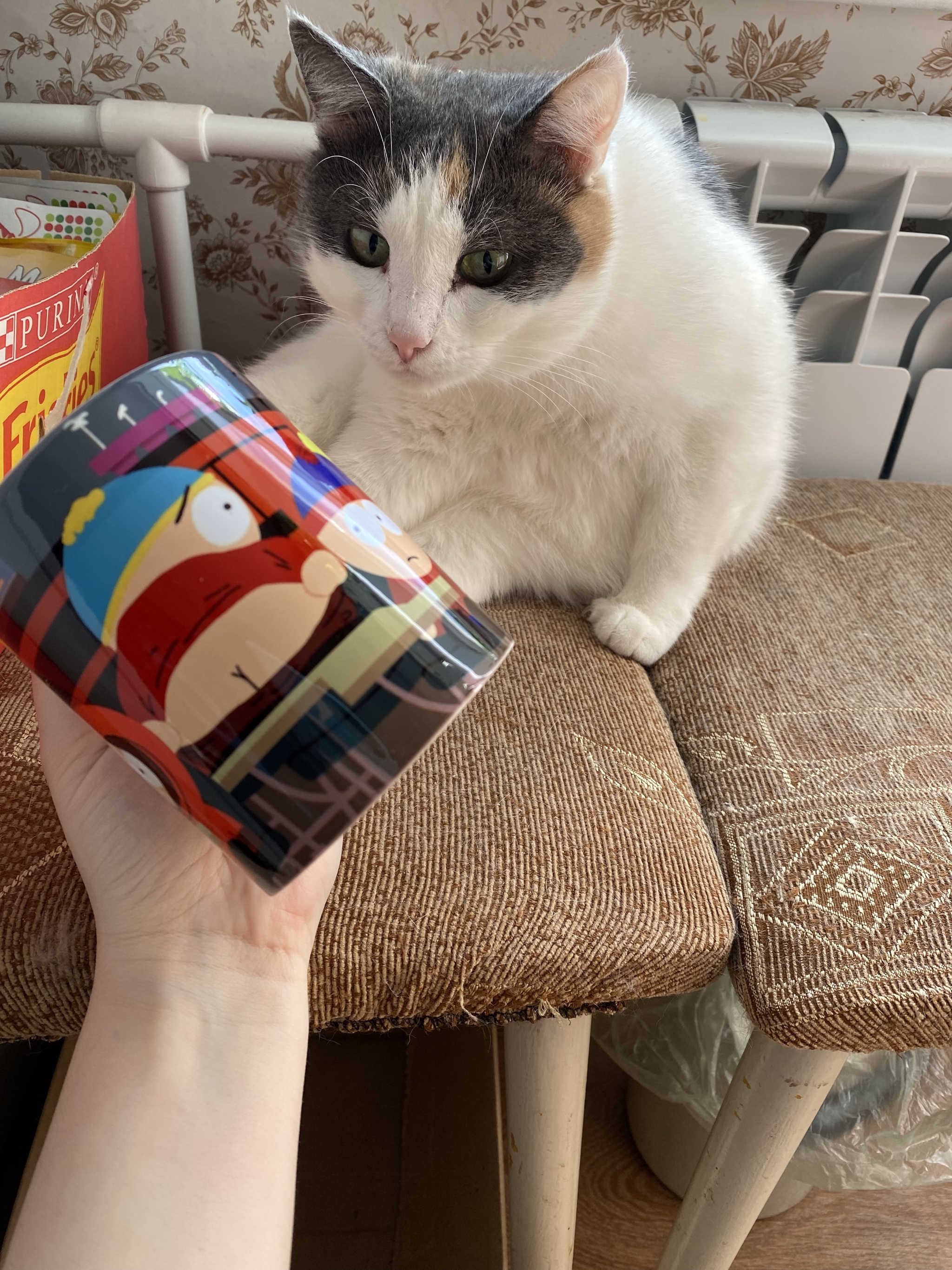 The long-awaited Fan Exchange 2021. Mulino-Dzerzhinsk - My, Gift exchange report, Gift exchange, South park, Captain obvious, cat, Longpost