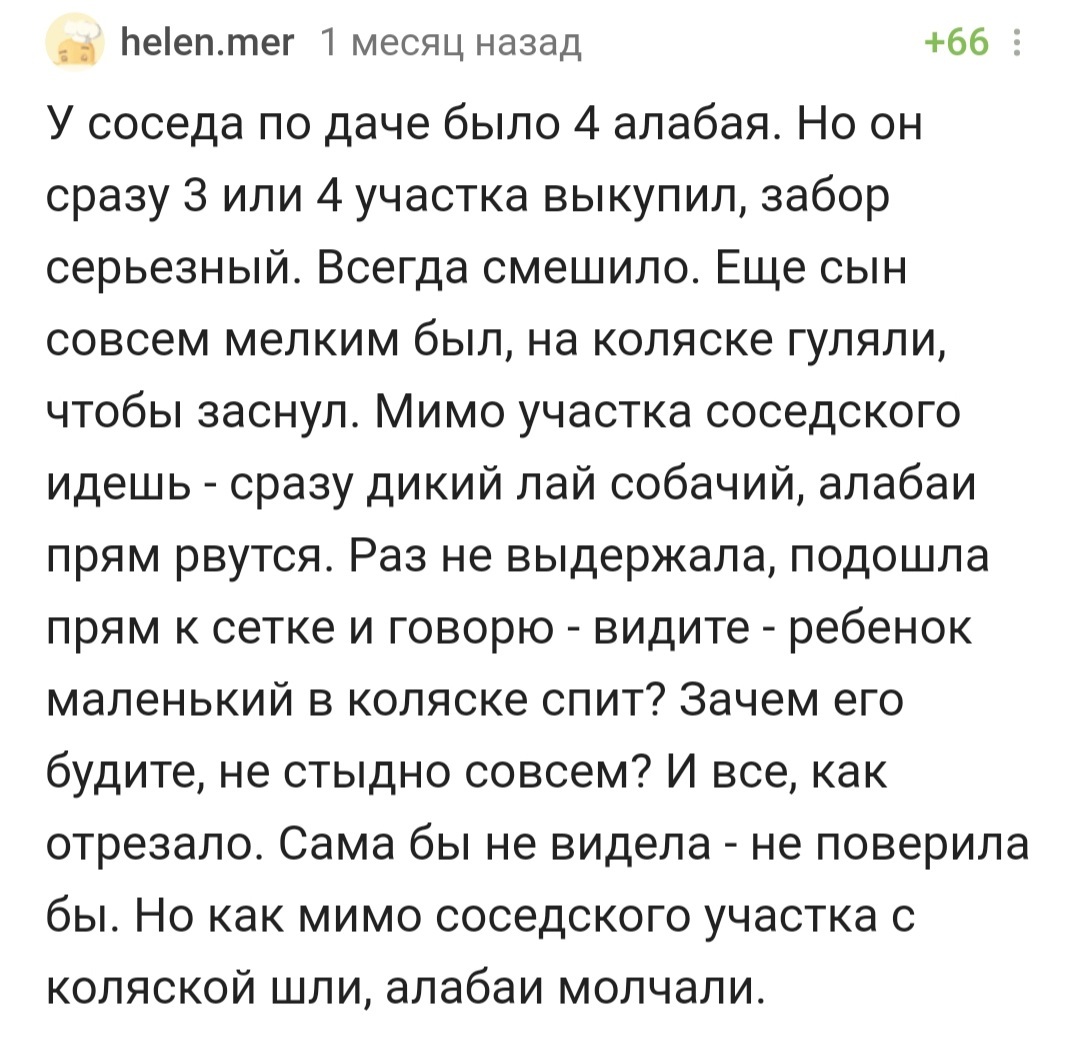 Ну ладно, больше не будем | Пикабу