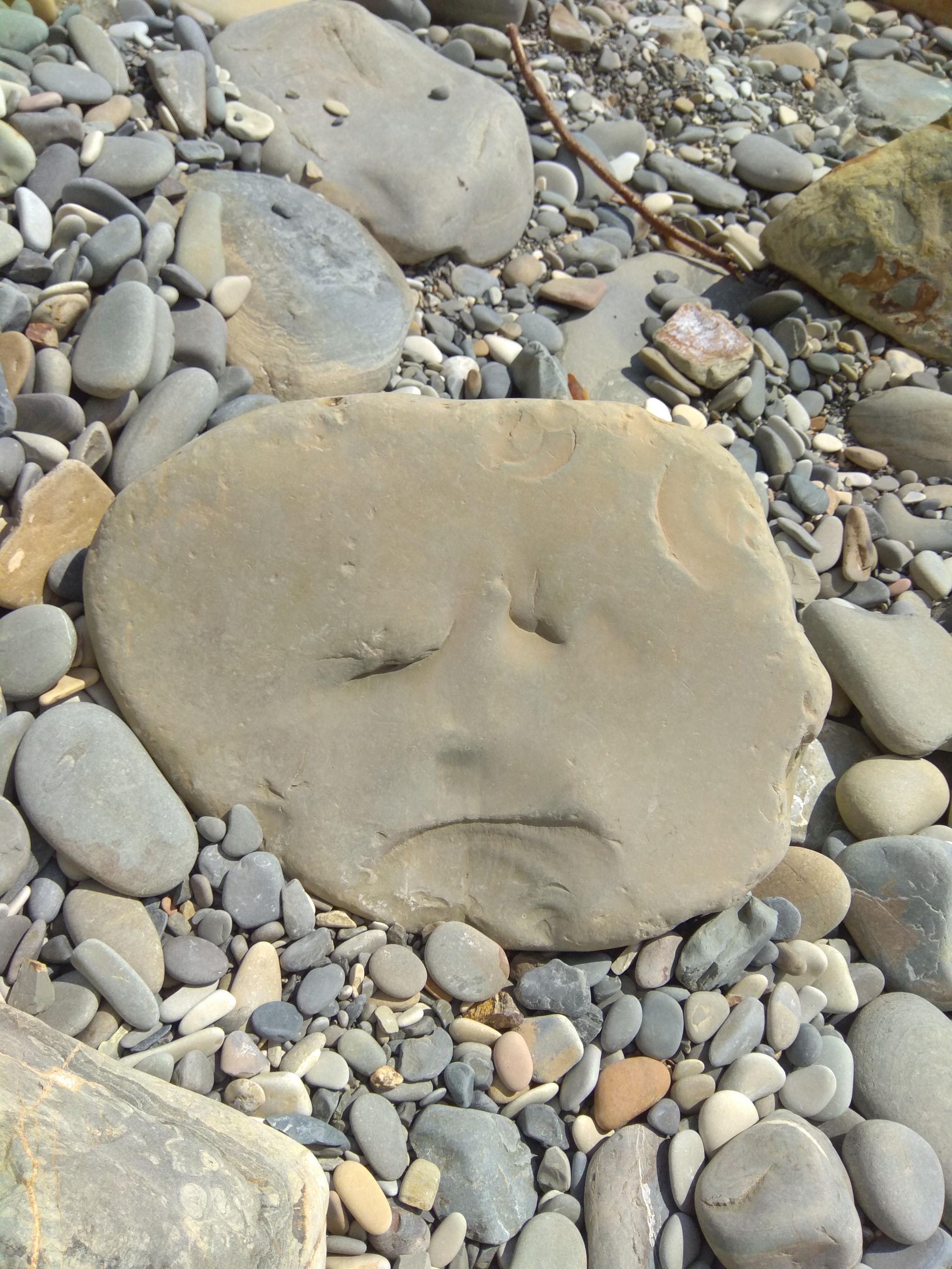 Reply to the post Gimme two! - My, Screenshot, A rock, Pareidolia, Reply to post