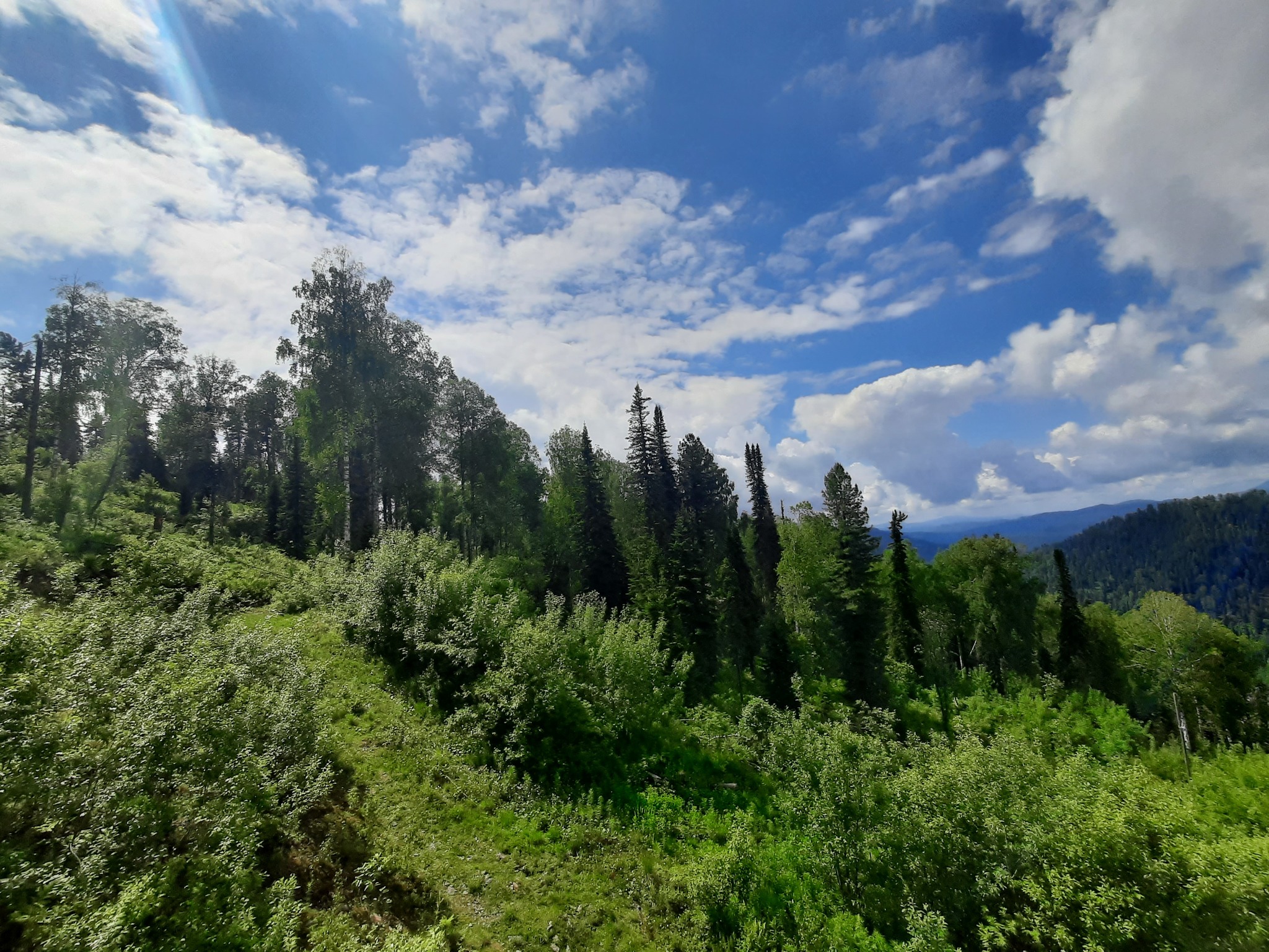 Teletskoye and surroundings - My, Mountain Altai, Teletskoe lake, Nature, Mobile photography, The nature of Russia, Longpost, Altai Republic