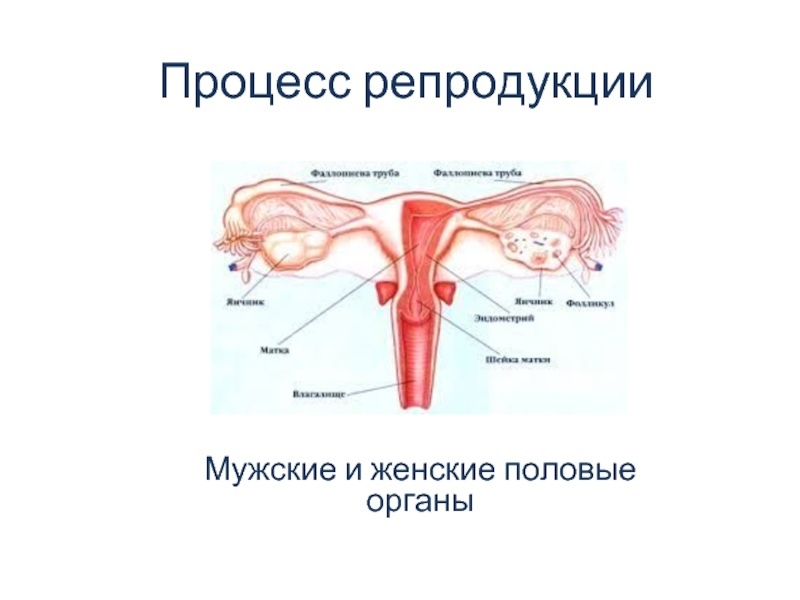 Новая концепция бытия - Моё, Религия, Наука, Философия, Инь-Ян, Будущее, Бог, Музыка, Теория относительности, , Бытие, Истина, Мужчины, Женщины, Детерминизм, Вселенная, Частица, Иудаизм, Ислам, Диалектика, Физика, Математика, Длиннопост