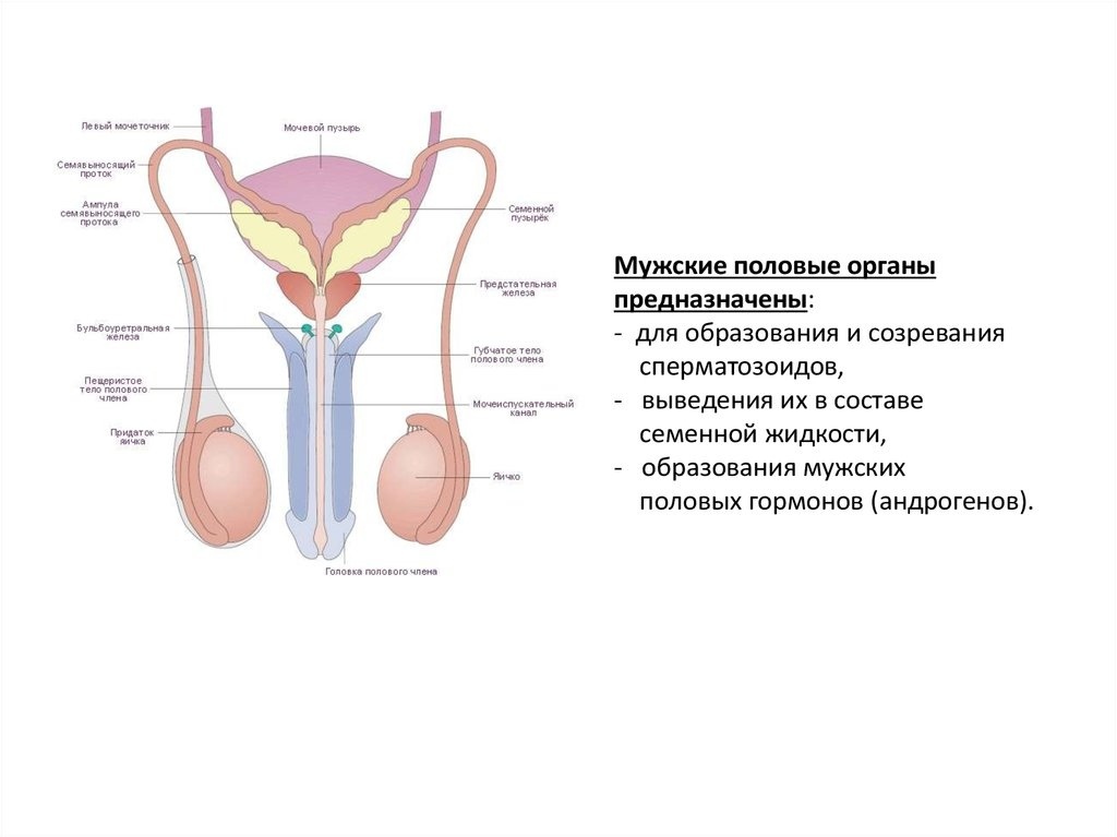 Новая концепция бытия - Моё, Религия, Наука, Философия, Инь-Ян, Будущее, Бог, Музыка, Теория относительности, , Бытие, Истина, Мужчины, Женщины, Детерминизм, Вселенная, Частица, Иудаизм, Ислам, Диалектика, Физика, Математика, Длиннопост