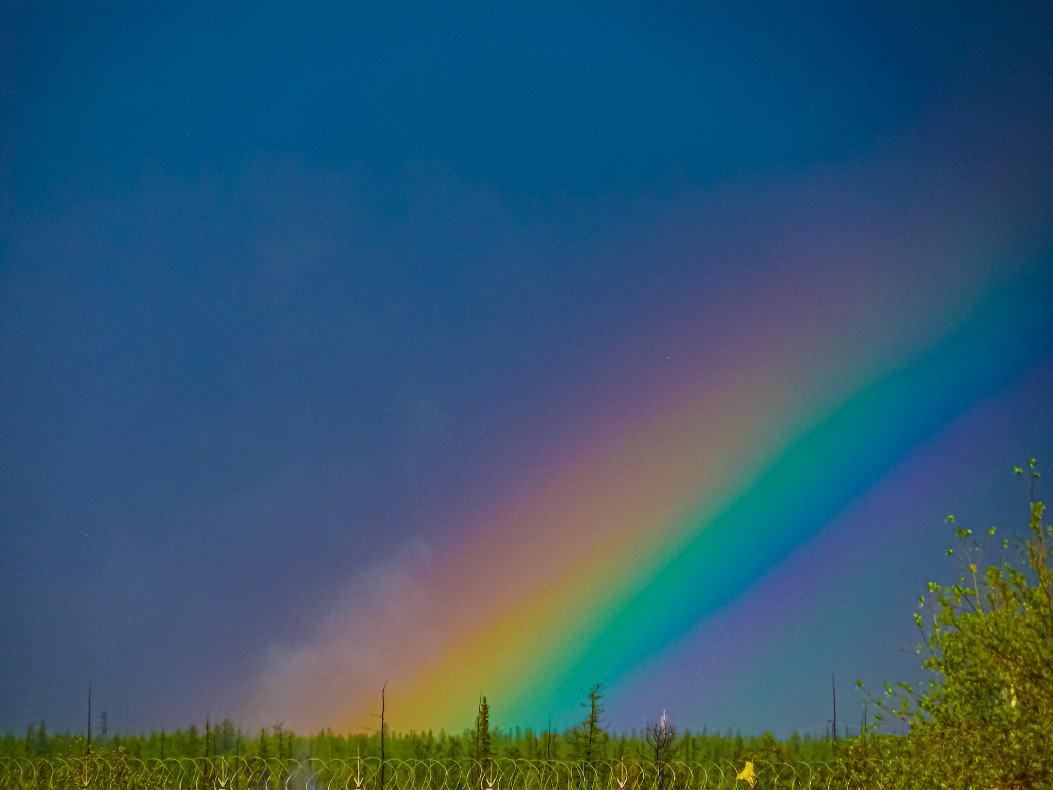 Yamal. - Tundra, Yamal, Summer, Nikon, The photo, Longpost