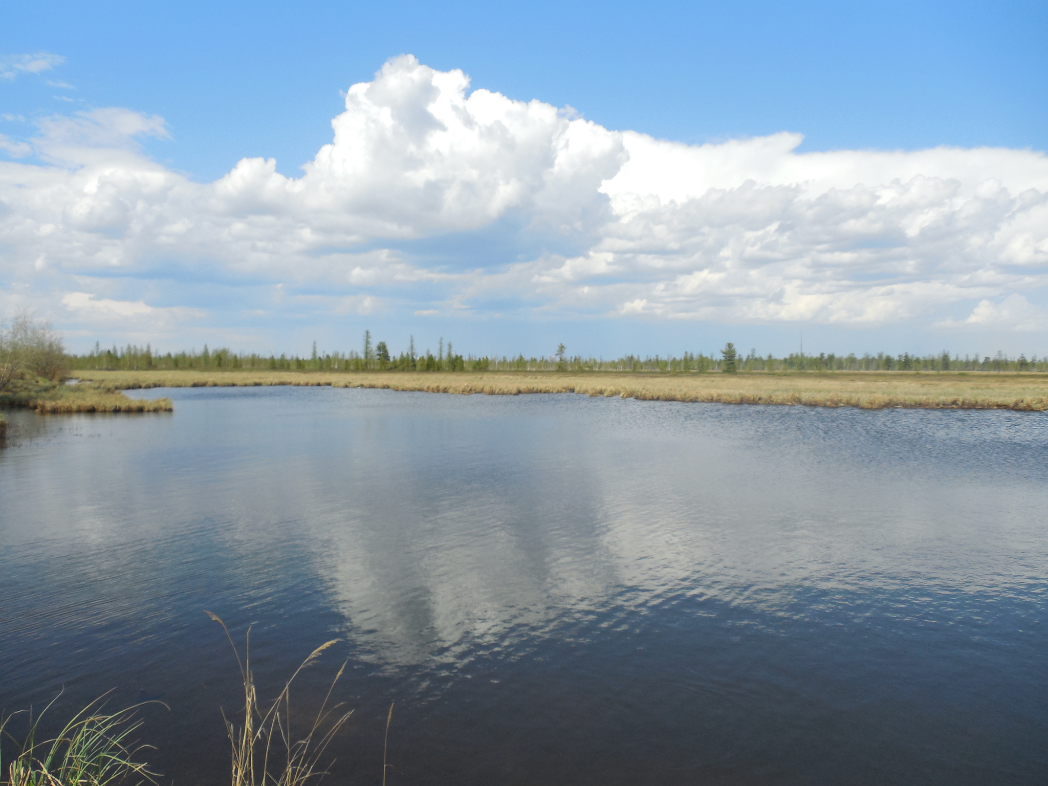 Yamal. - Tundra, Yamal, Summer, Nikon, The photo, Longpost