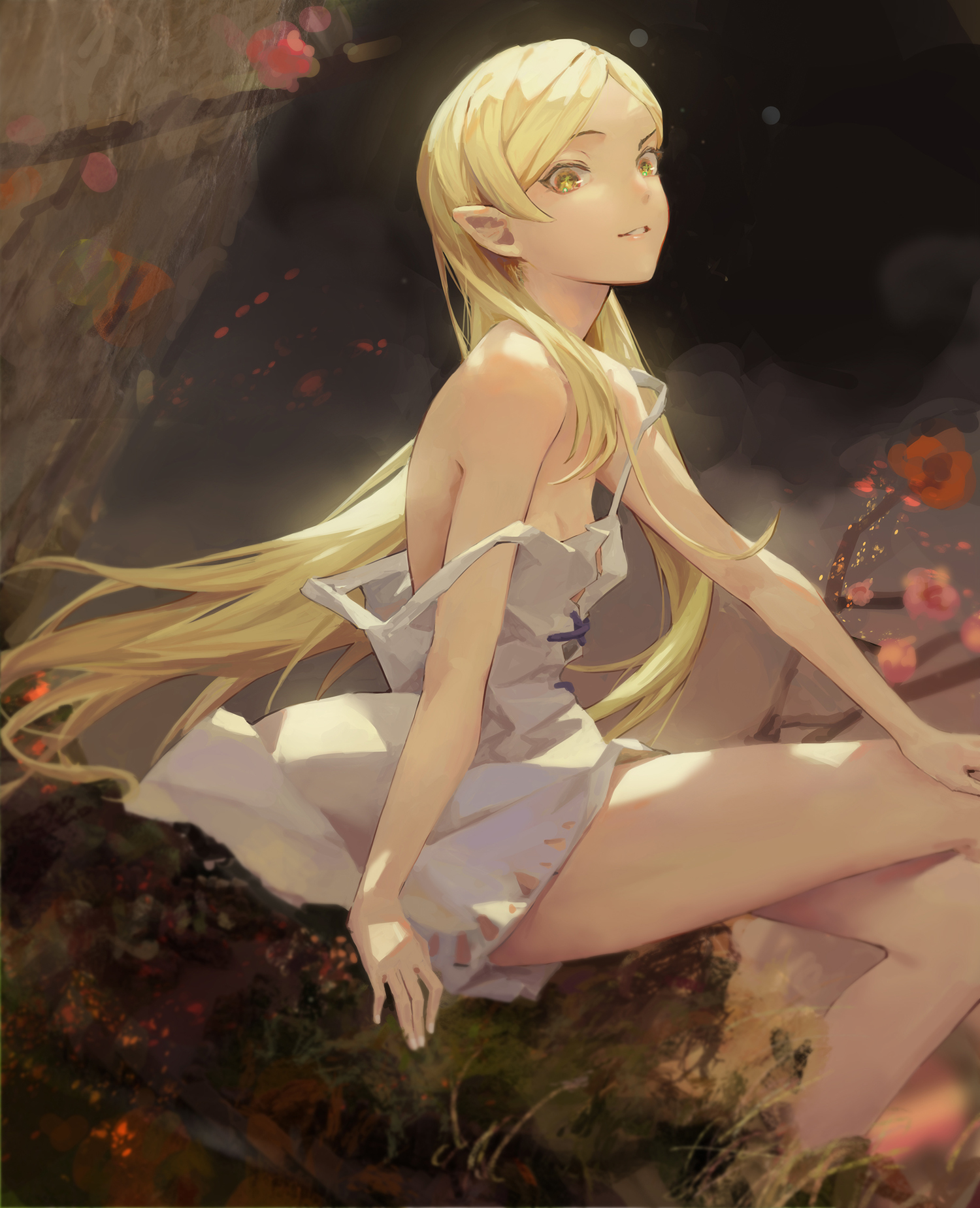 Киссшот - Аниме, Anime Art, Monogatari series, Kiss-Shot Acerola-orion Heart-under-blade