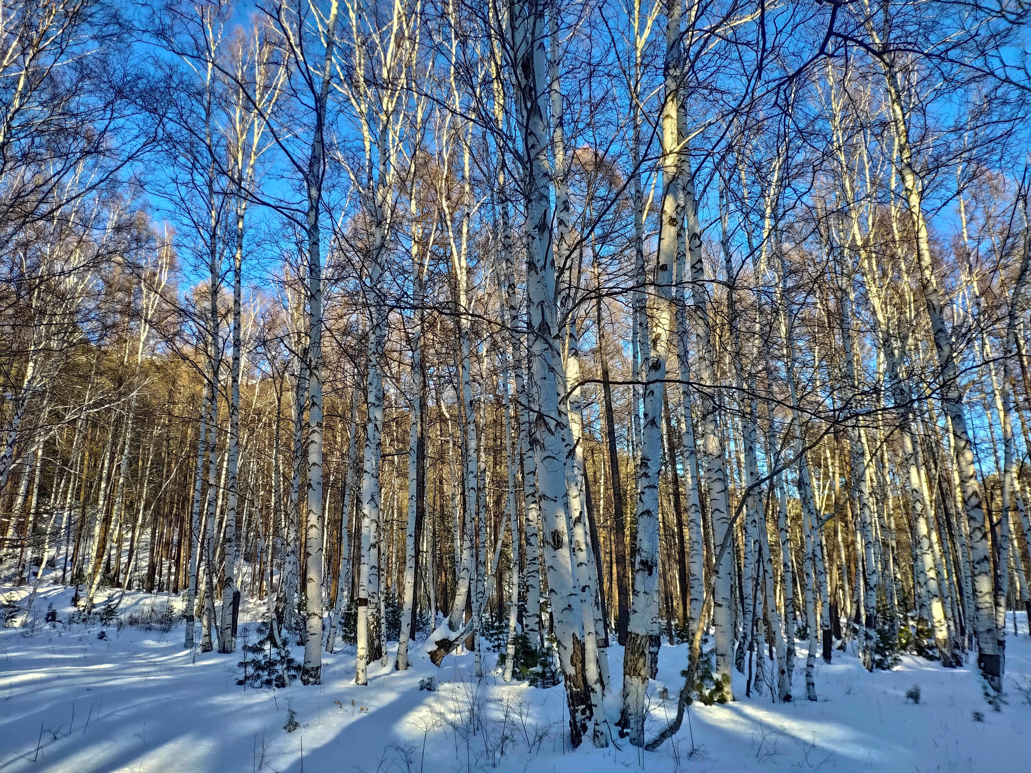 My Baikal, day 5: Arshan (continuation 2) - My, Baikal, Irkutsk, Xiaomi mi8, Longpost, Arshan