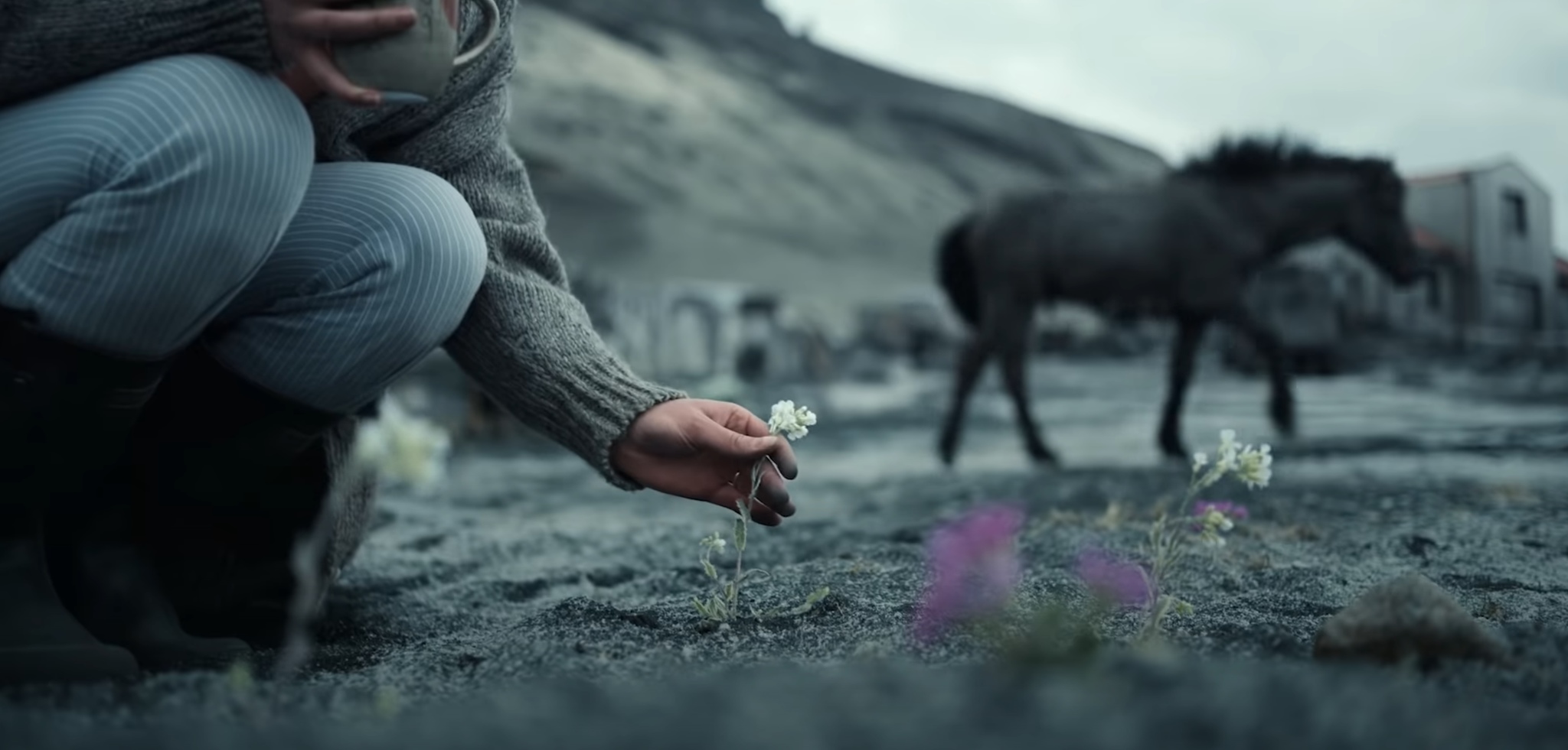 A girl covered in ash appeared on an Icelandic glacier. - My, Serials, Overview, Iceland, Reykjavik, Volcano, Nature, Mystic, Drama, , Europe, Natural phenomena, Eruption, Geology, Video, Longpost, Netflix