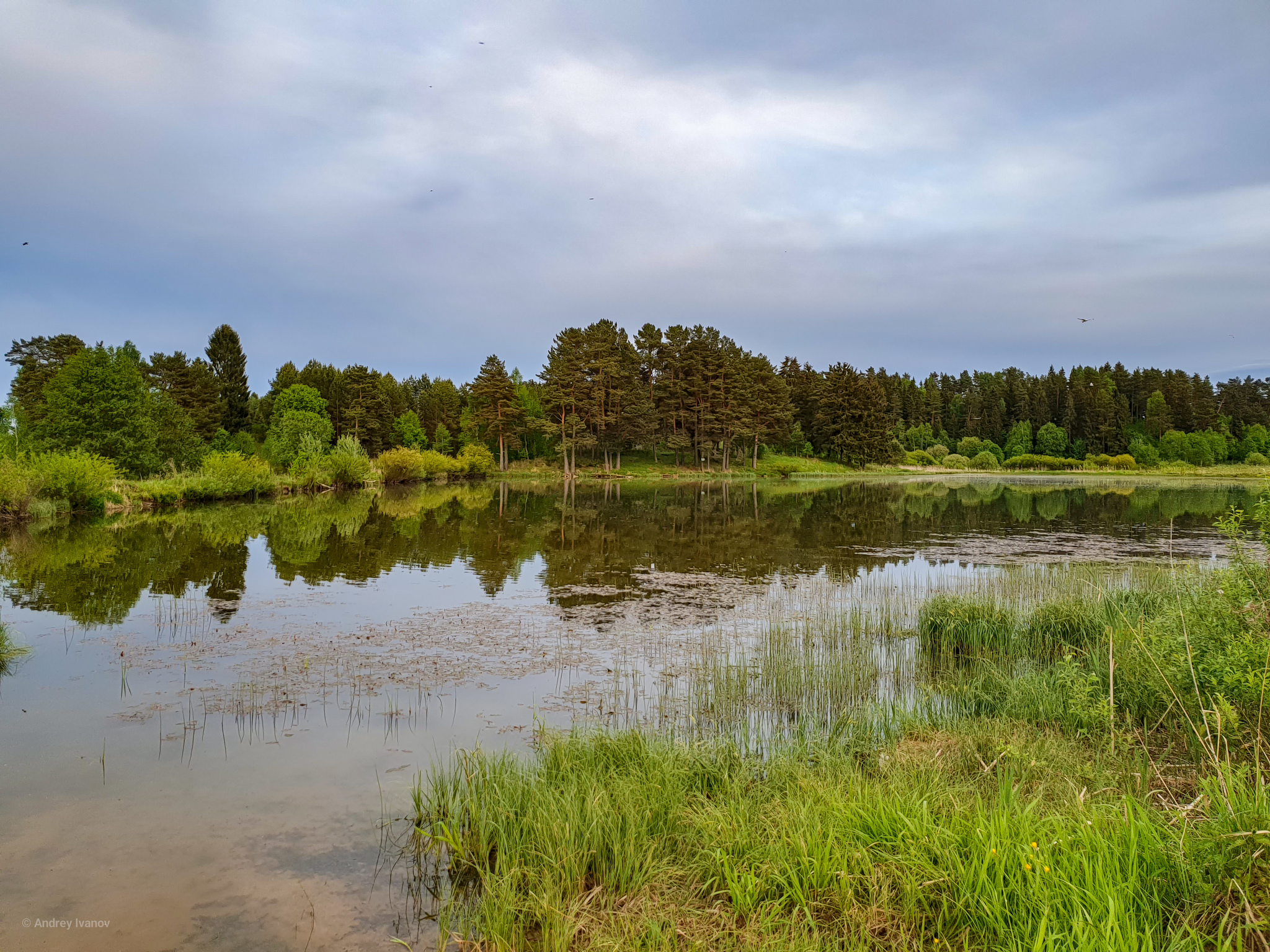 Smolensk region - My, The photo, Nature, Longpost