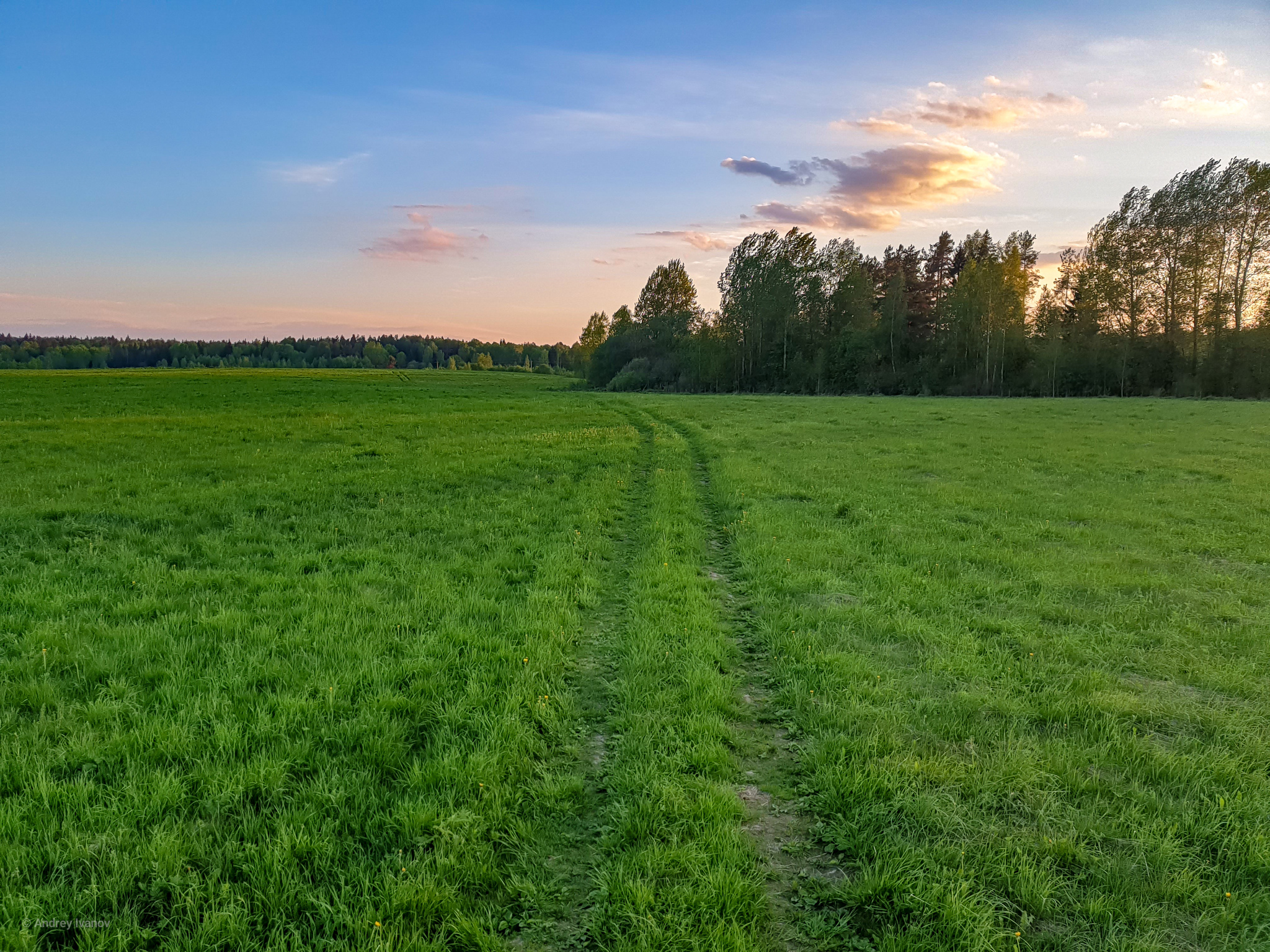 Smolensk region - My, The photo, Nature, Longpost