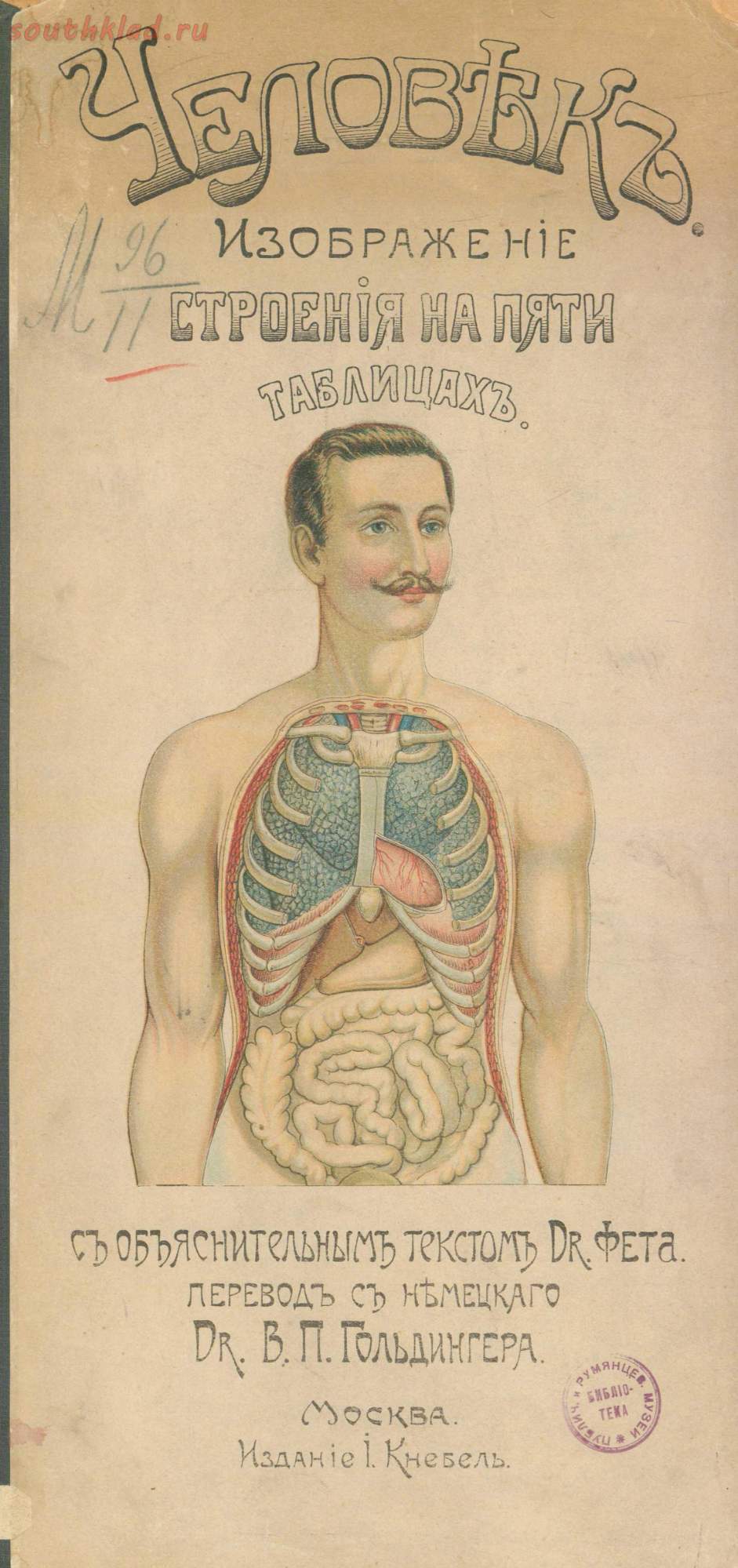 Human anatomy at the beginning of the 20th century - My, Story, Anatomy, Person, Books, Longpost