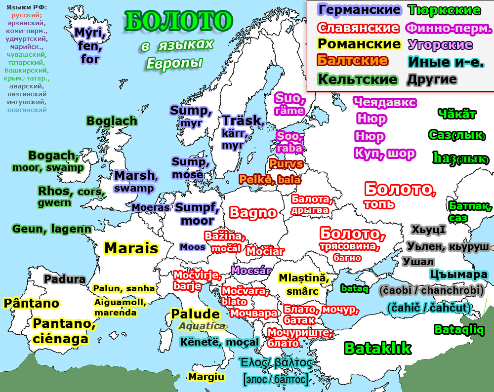 Swamp in the languages ??of Europe and Russia - Cards, Foreign languages, Swamp, Marsh, Vocabulary, Language, Comparison