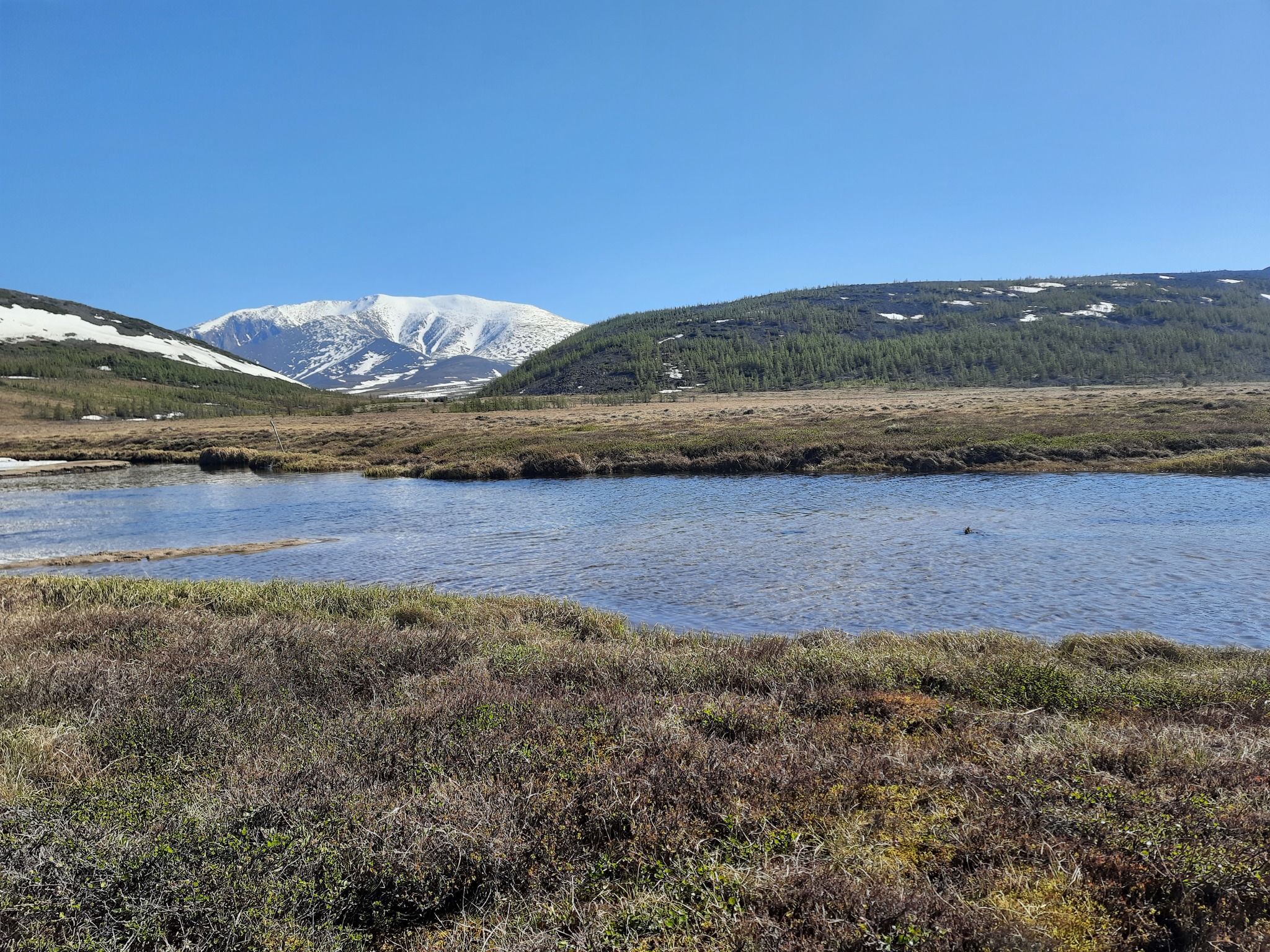 Elgenya Lake, Bilibin Peak, Bolshoy Anngachak Ridge - My, Grayling, Magadan Region, Nature, Дальний Восток, The nature of Russia, wildlife, Video, Longpost