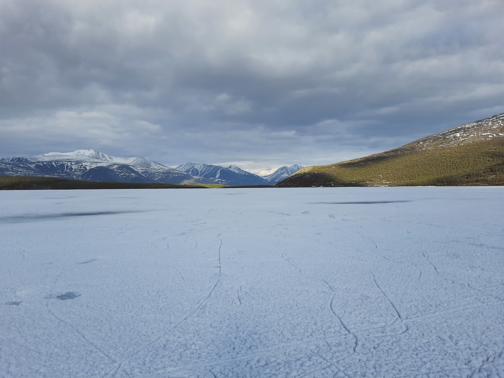 Elgenya Lake, Bilibin Peak, Bolshoy Anngachak Ridge - My, Grayling, Magadan Region, Nature, Дальний Восток, The nature of Russia, wildlife, Video, Longpost