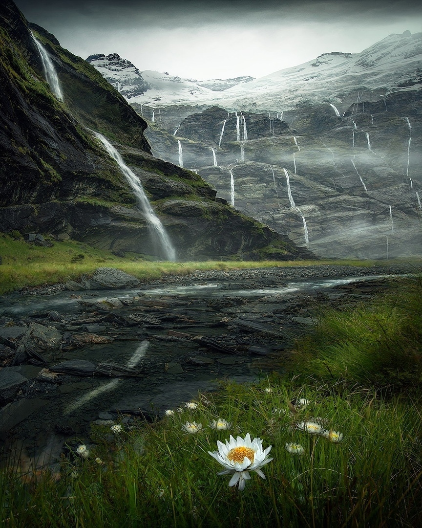 New Zealand - Waterfall, The mountains, Flowers, The photo, New Zealand