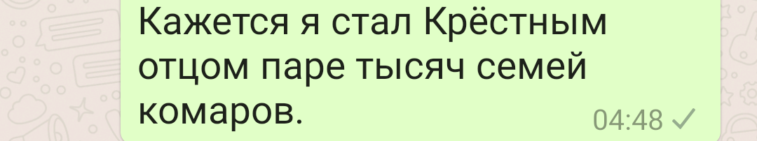 Буйству пьян - Моё, Пьянство, Гараж, Лето, Комары, Длиннопост, Whatsapp, Скриншот