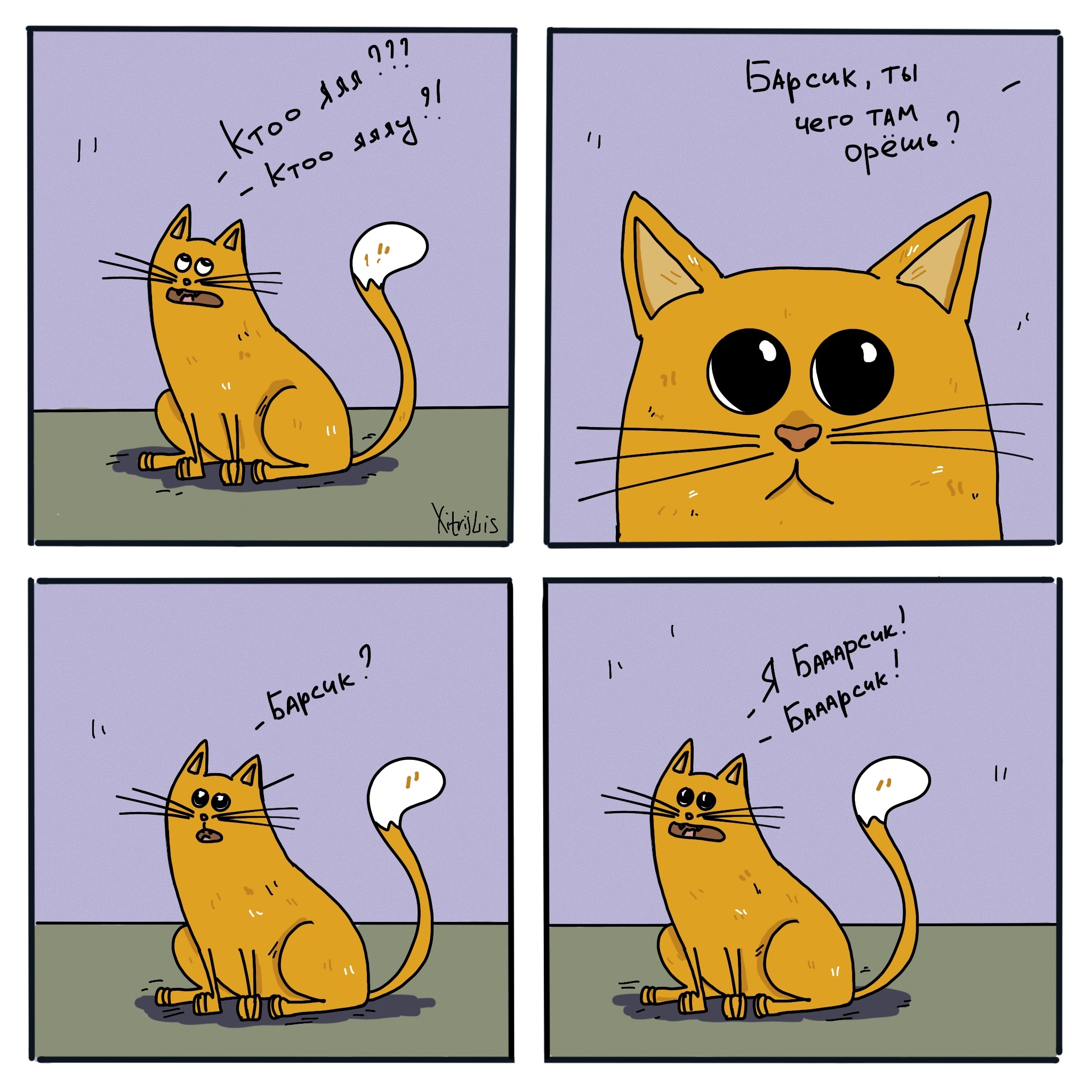Comic pet. Comic no Pet only.