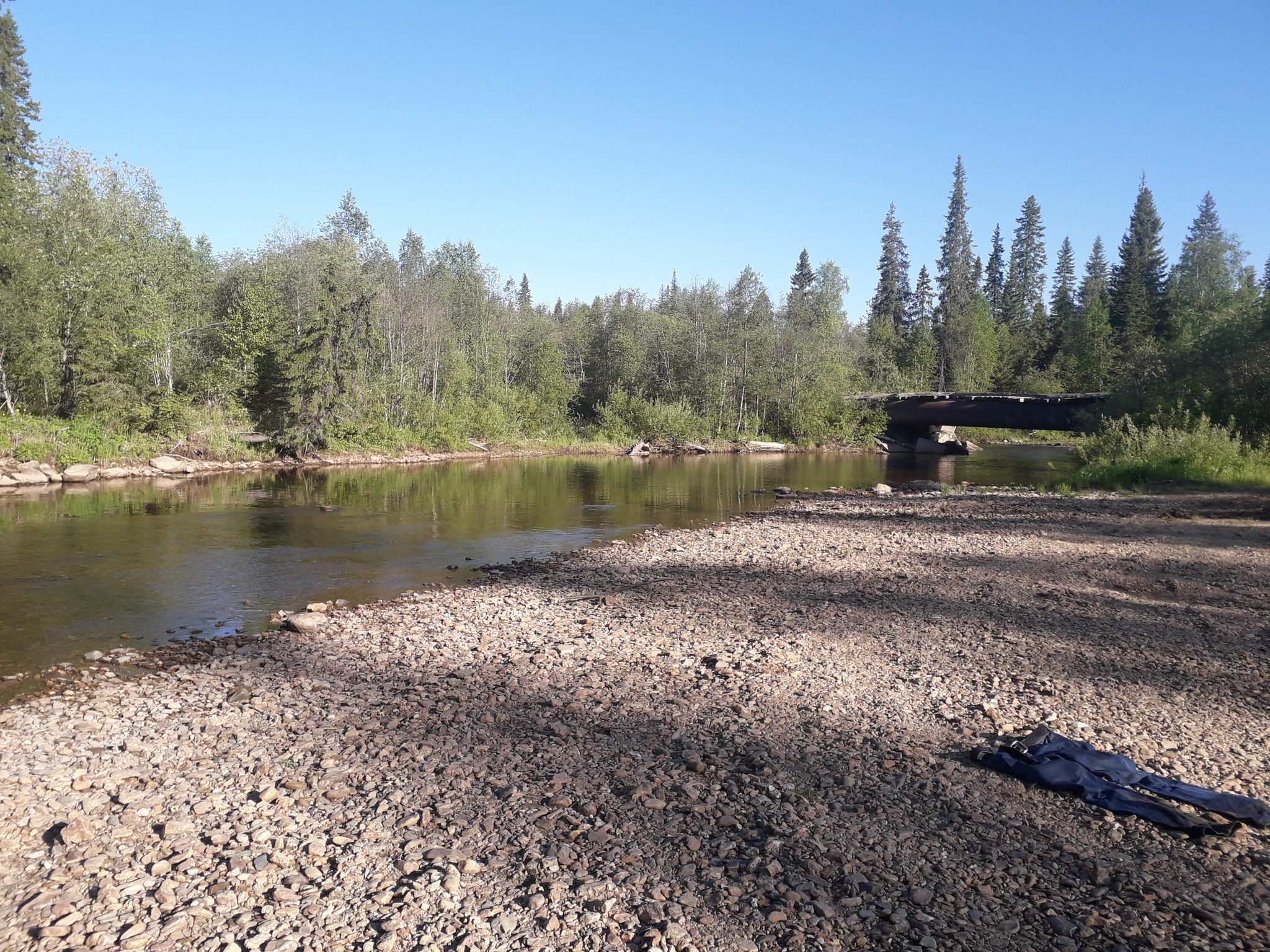 Mount Oslyanka, June 2021 - My, Middle Ural, Hike, Nature, Oslyanka, Longpost