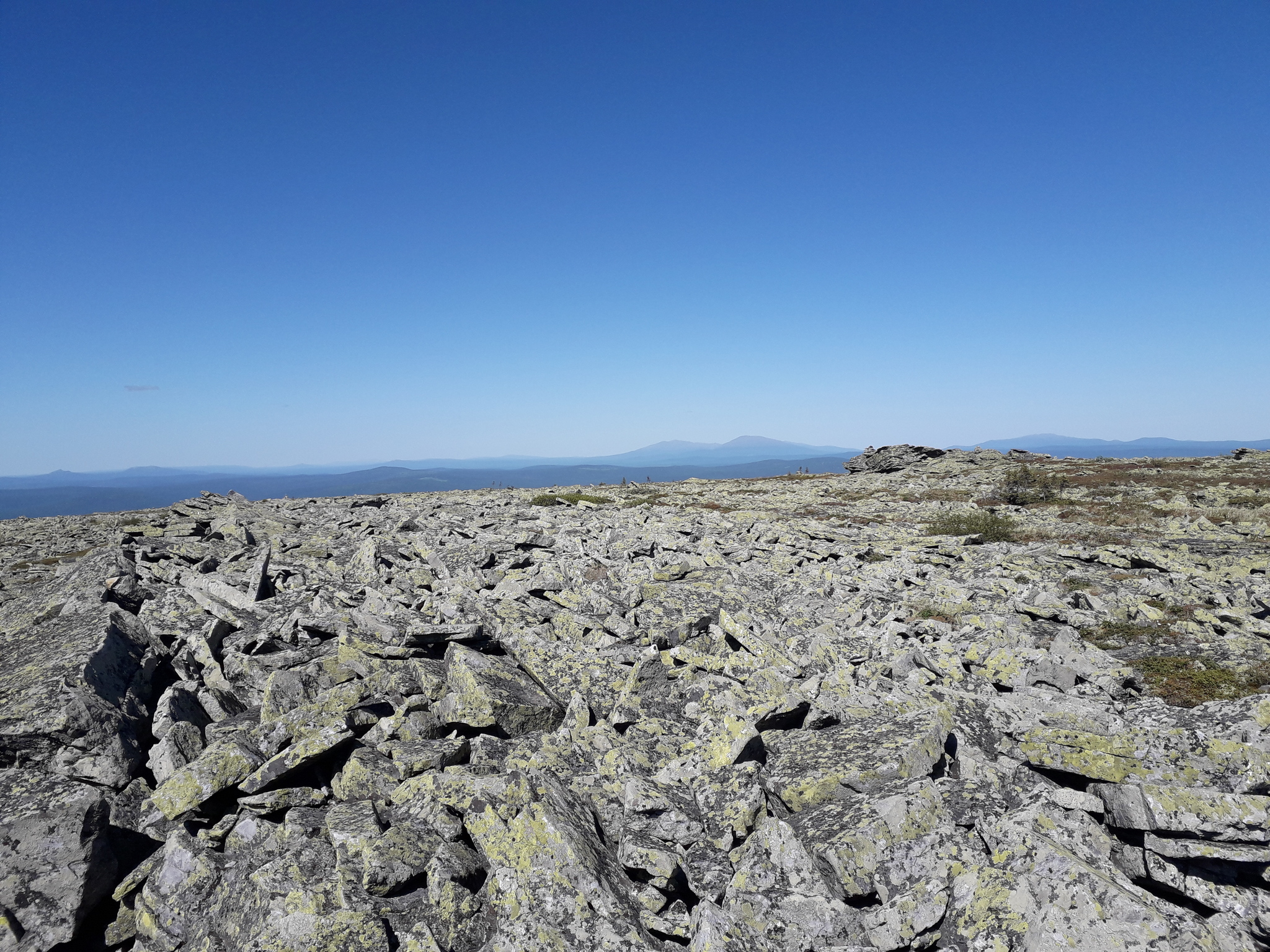 Mount Oslyanka, June 2021 - My, Middle Ural, Hike, Nature, Oslyanka, Longpost