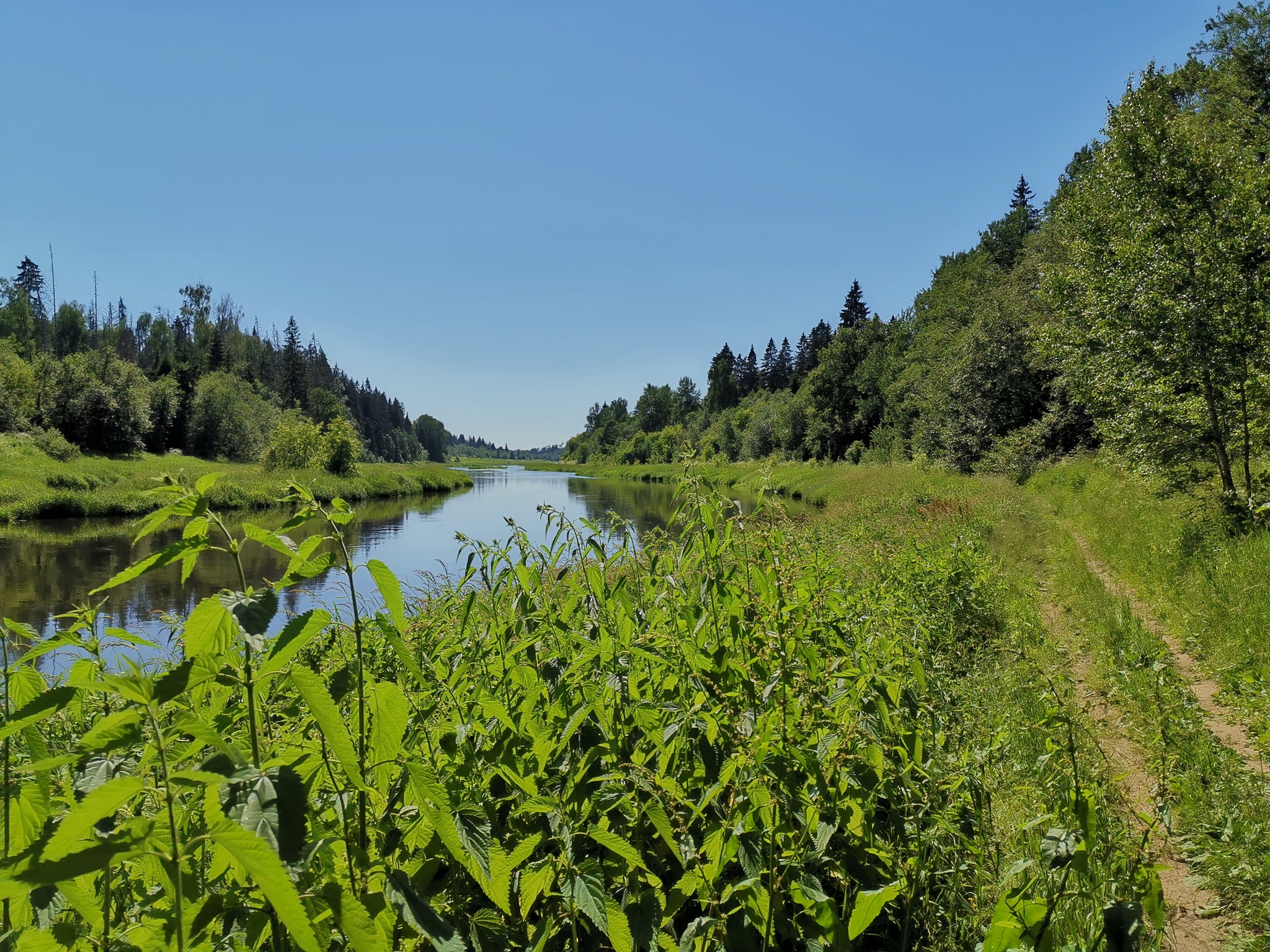 A trip to the Gorbovskaya HPP is: - My, A bike, Bike ride, Moscow region, Mobile photography, The photo, River, Nature, Longpost